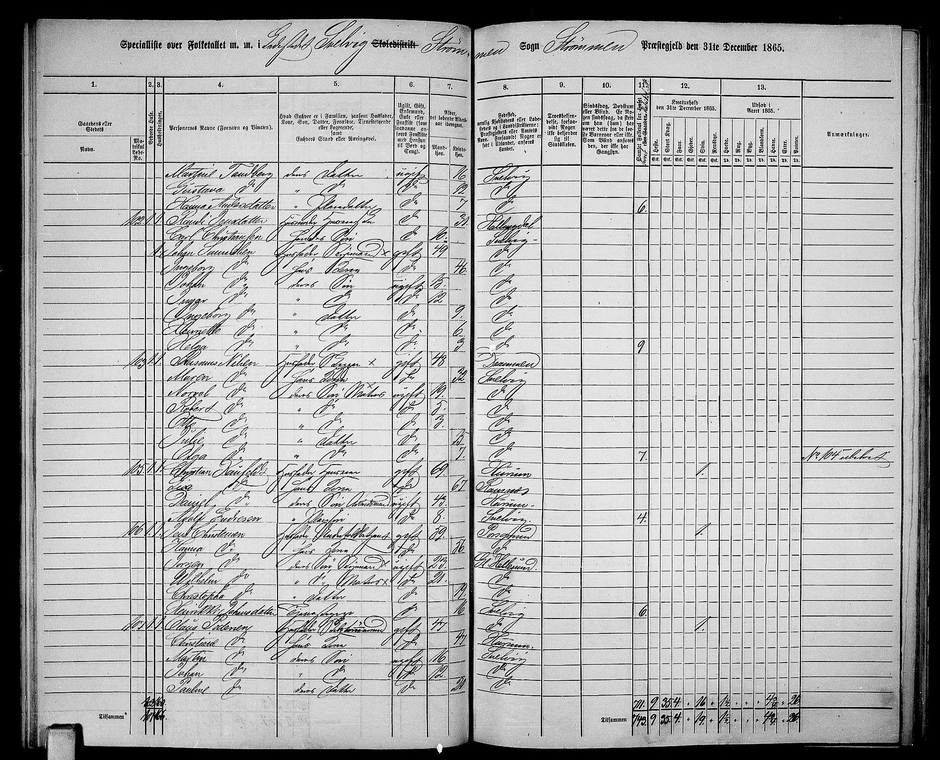 RA, 1865 census for Strømm, 1865, p. 85