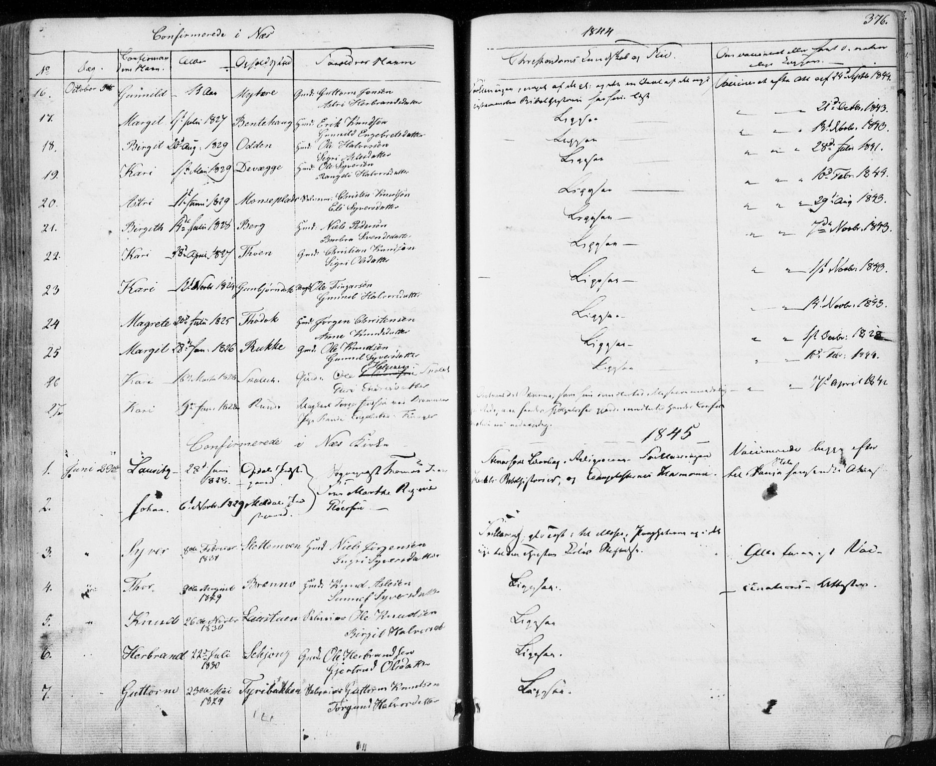 Nes kirkebøker, SAKO/A-236/F/Fa/L0009: Parish register (official) no. 9, 1834-1863, p. 376