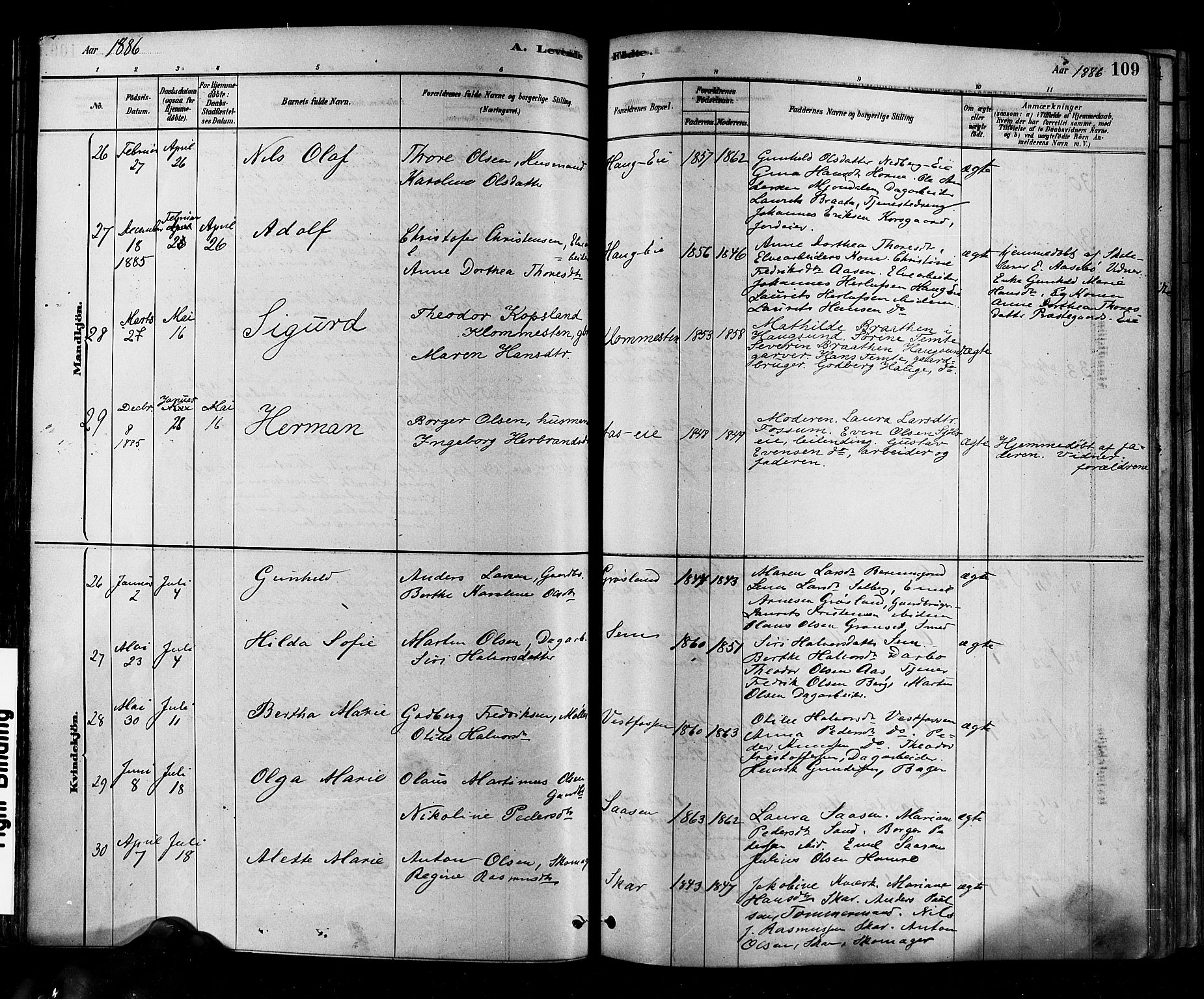 Eiker kirkebøker, AV/SAKO-A-4/F/Fb/L0001: Parish register (official) no. II 1, 1878-1888, p. 109