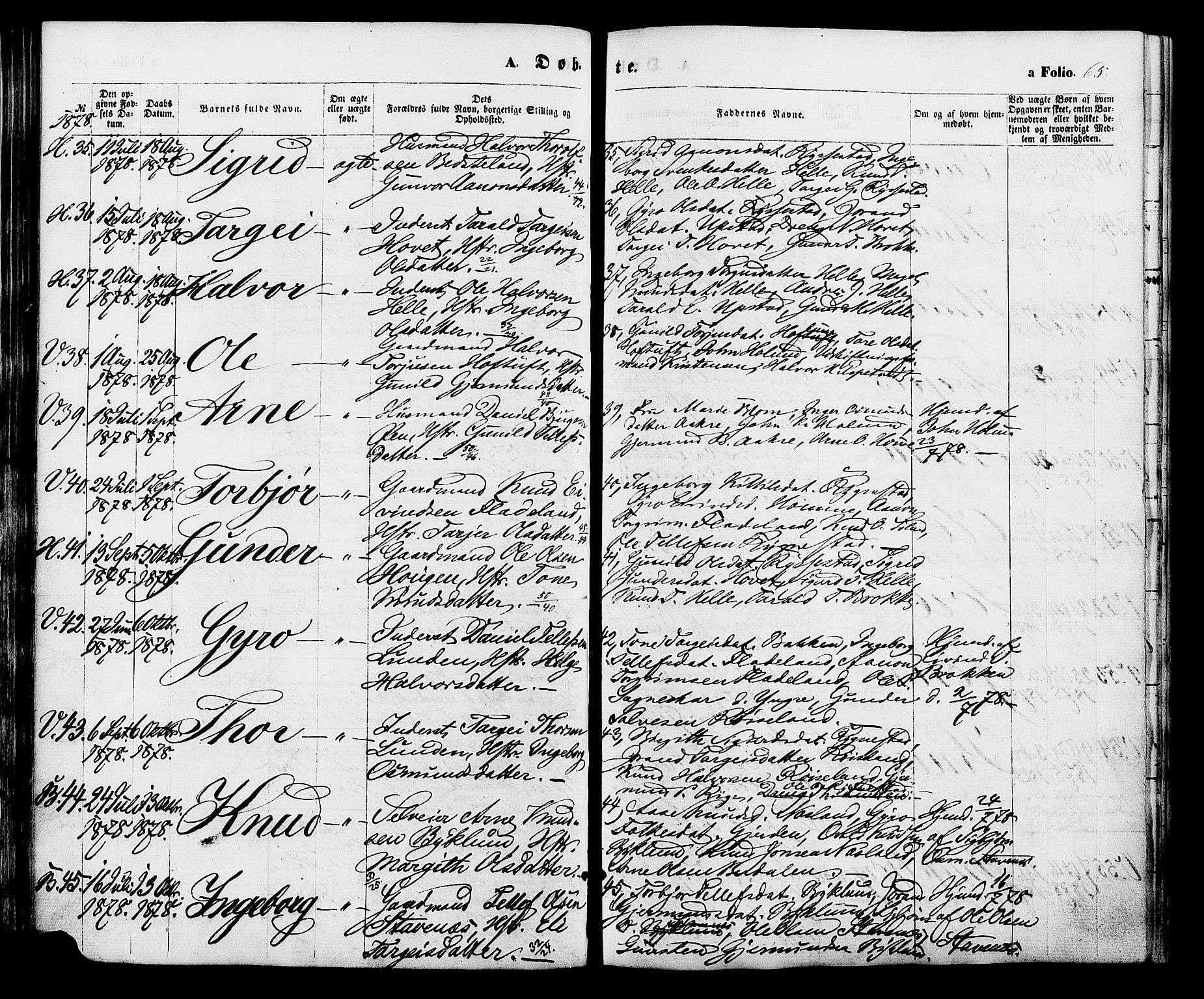 Valle sokneprestkontor, SAK/1111-0044/F/Fa/Fac/L0008: Parish register (official) no. A 8, 1868-1882, p. 65