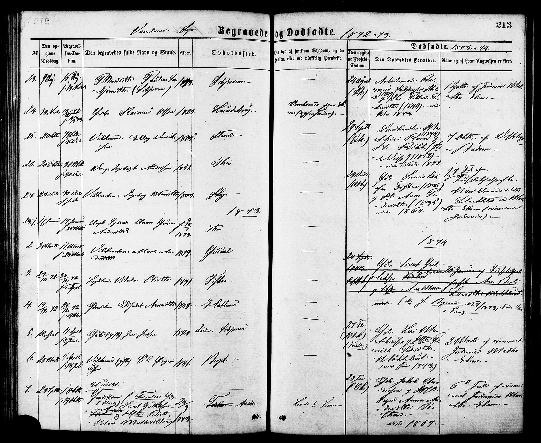 Ministerialprotokoller, klokkerbøker og fødselsregistre - Møre og Romsdal, AV/SAT-A-1454/501/L0007: Parish register (official) no. 501A07, 1868-1884, p. 213