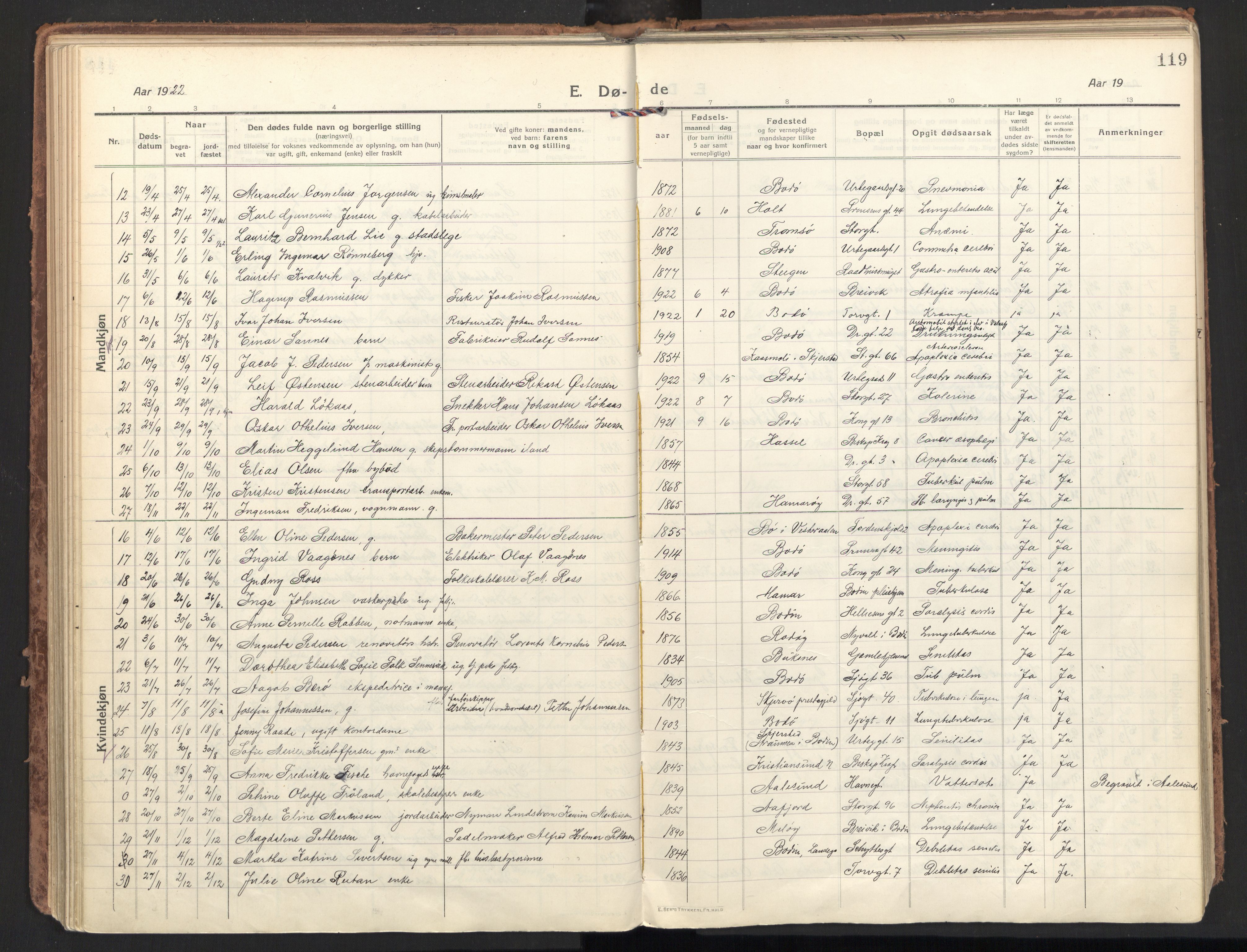 Ministerialprotokoller, klokkerbøker og fødselsregistre - Nordland, SAT/A-1459/801/L0018: Parish register (official) no. 801A18, 1916-1930, p. 119