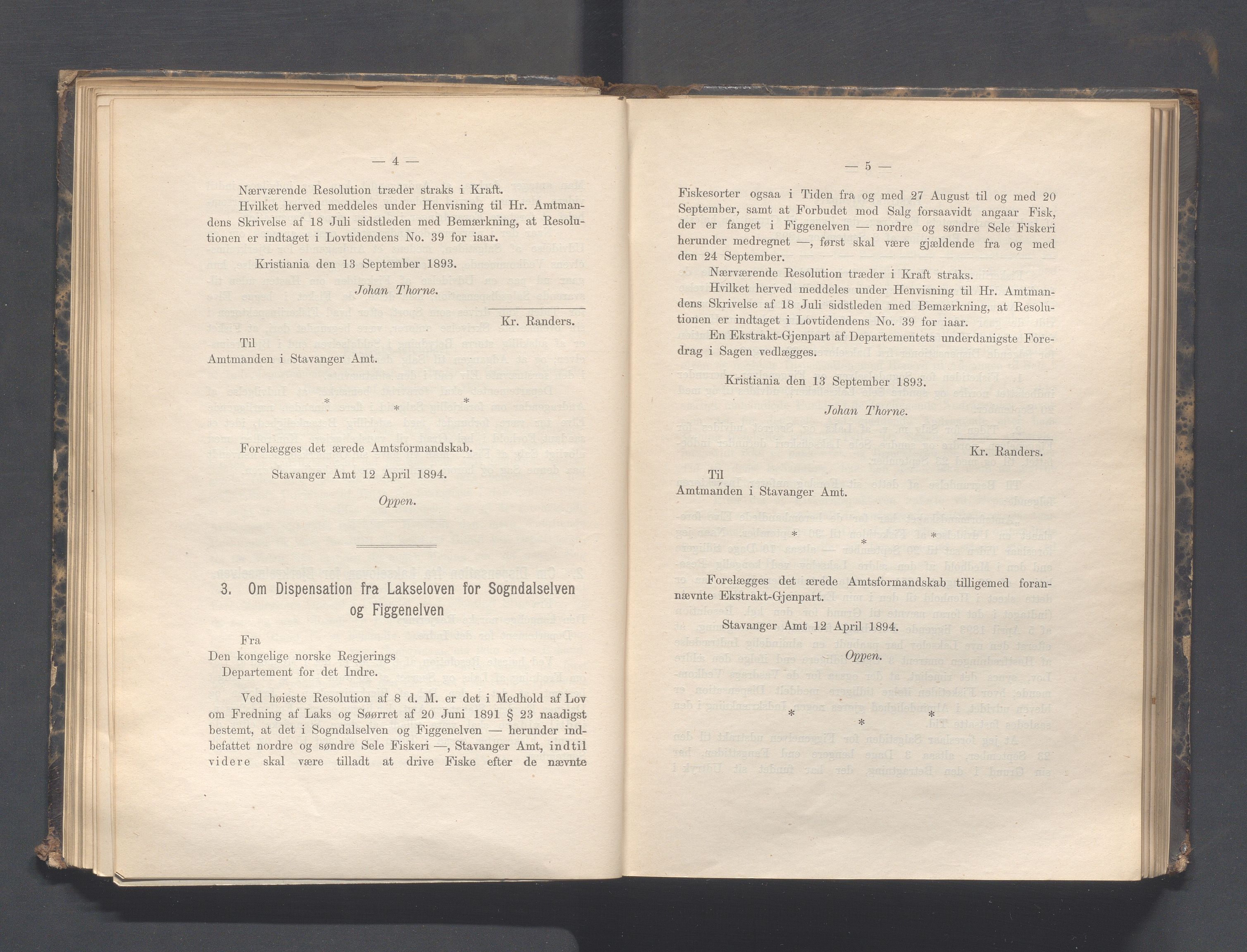 Rogaland fylkeskommune - Fylkesrådmannen , IKAR/A-900/A, 1894, p. 82