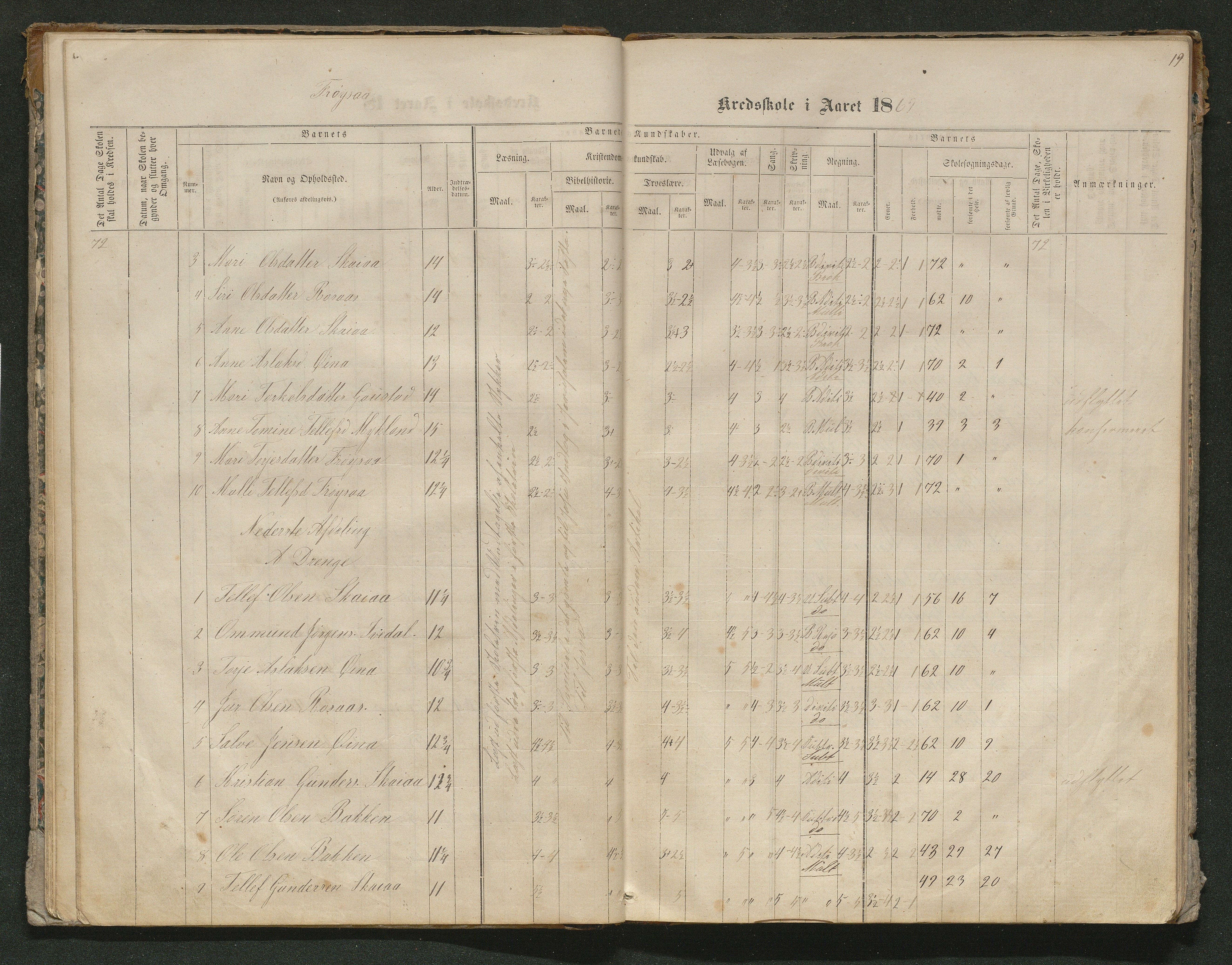 Iveland kommune, De enkelte kretsene/Skolene, AAKS/KA0935-550/A_10/L0005: Skoleprotokoll for Frøyså og Mykland krets, 1864-1881, p. 19