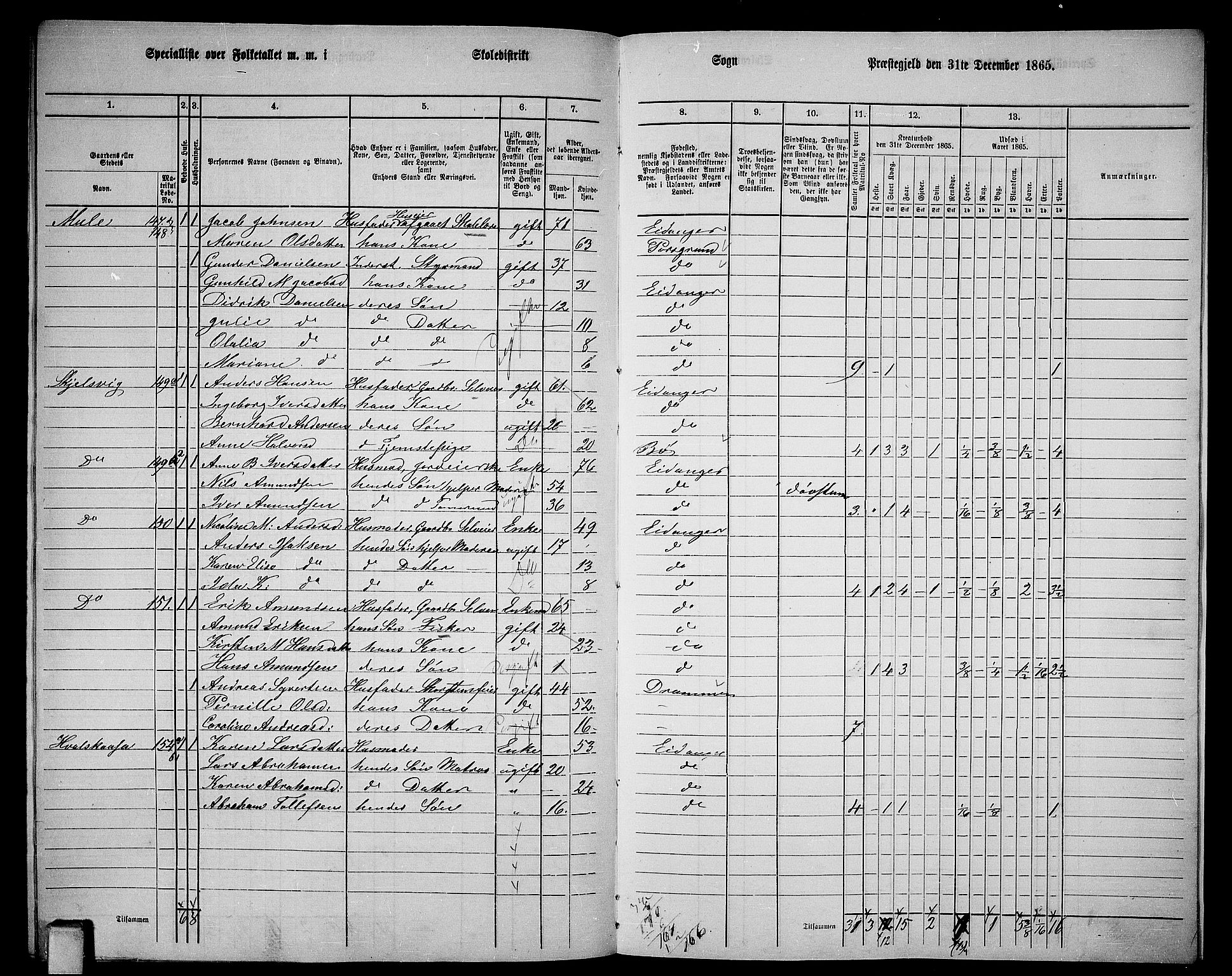 RA, 1865 census for Eidanger, 1865, p. 117