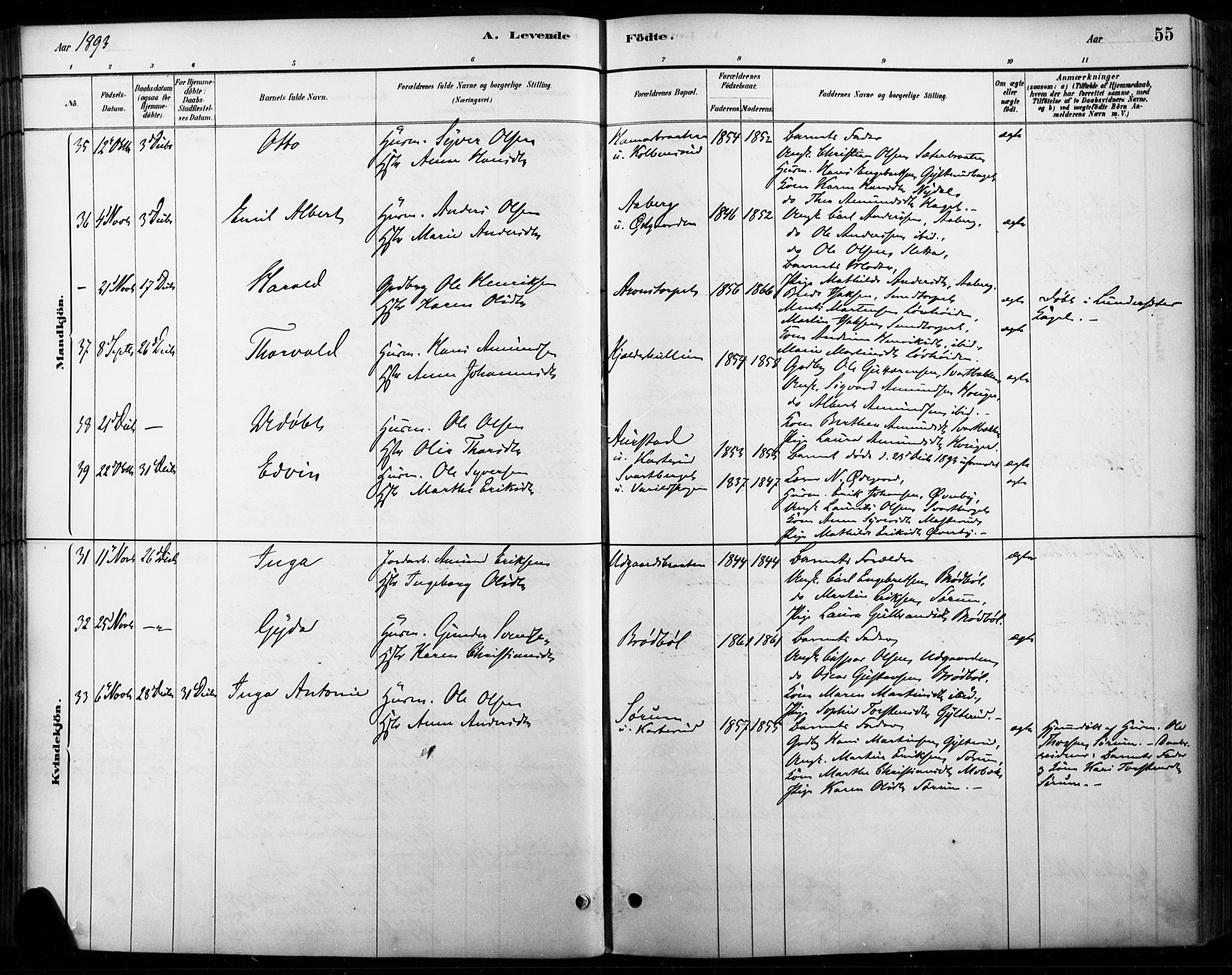 Vinger prestekontor, AV/SAH-PREST-024/H/Ha/Haa/L0015: Parish register (official) no. 15, 1881-1900, p. 55