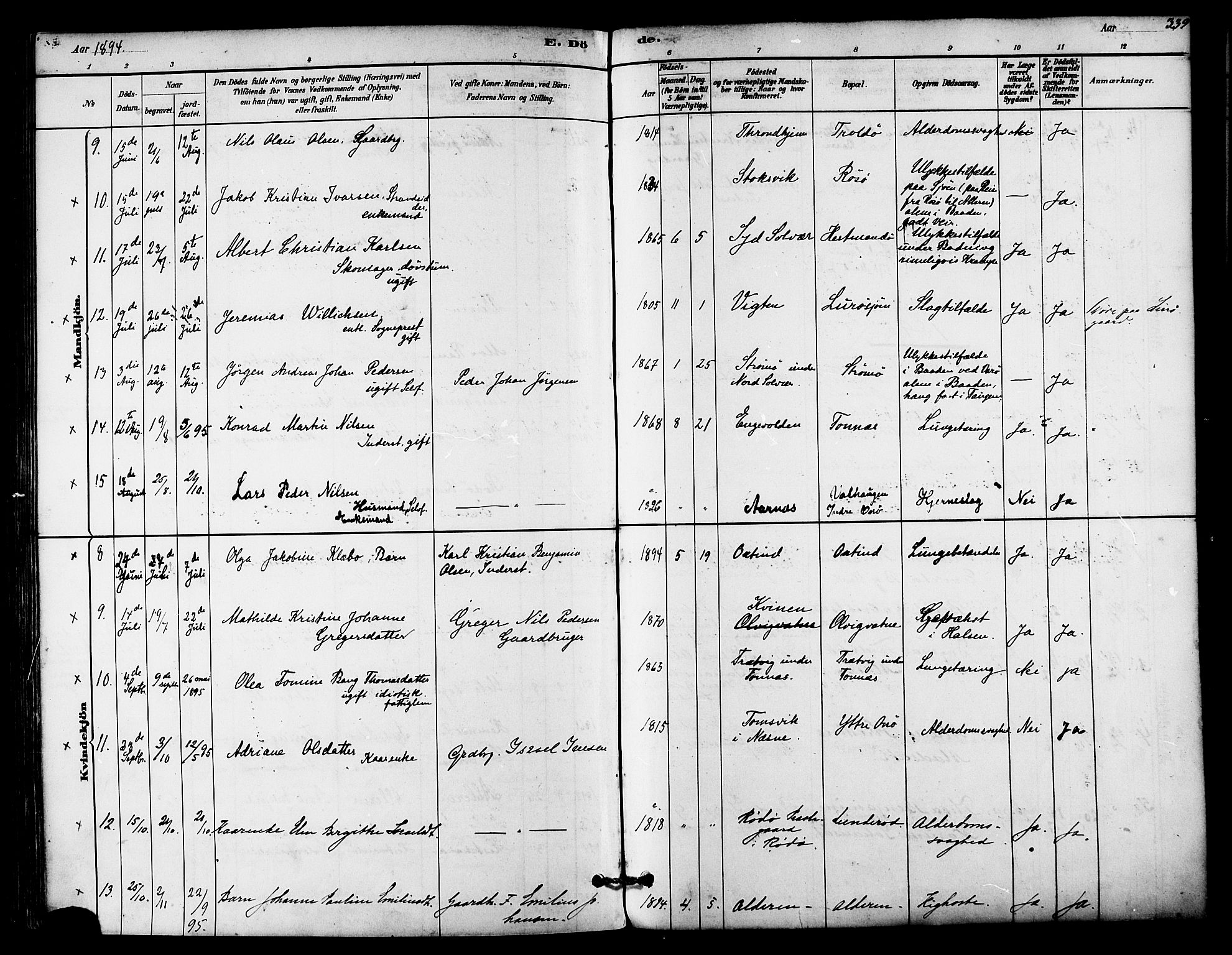 Ministerialprotokoller, klokkerbøker og fødselsregistre - Nordland, AV/SAT-A-1459/839/L0568: Parish register (official) no. 839A05, 1880-1902, p. 339