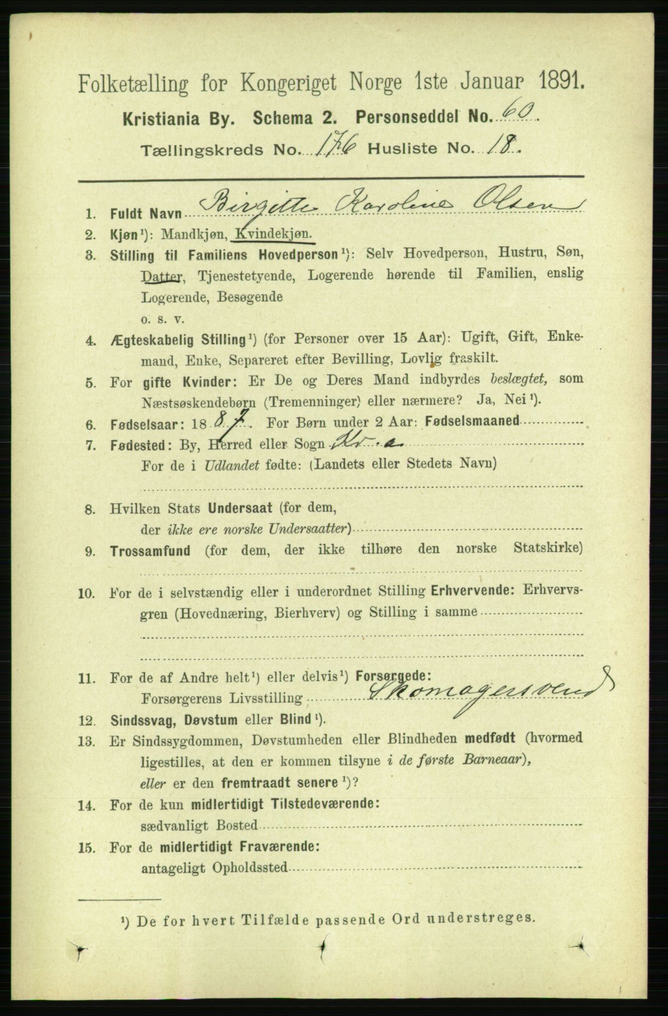 RA, 1891 census for 0301 Kristiania, 1891, p. 106181