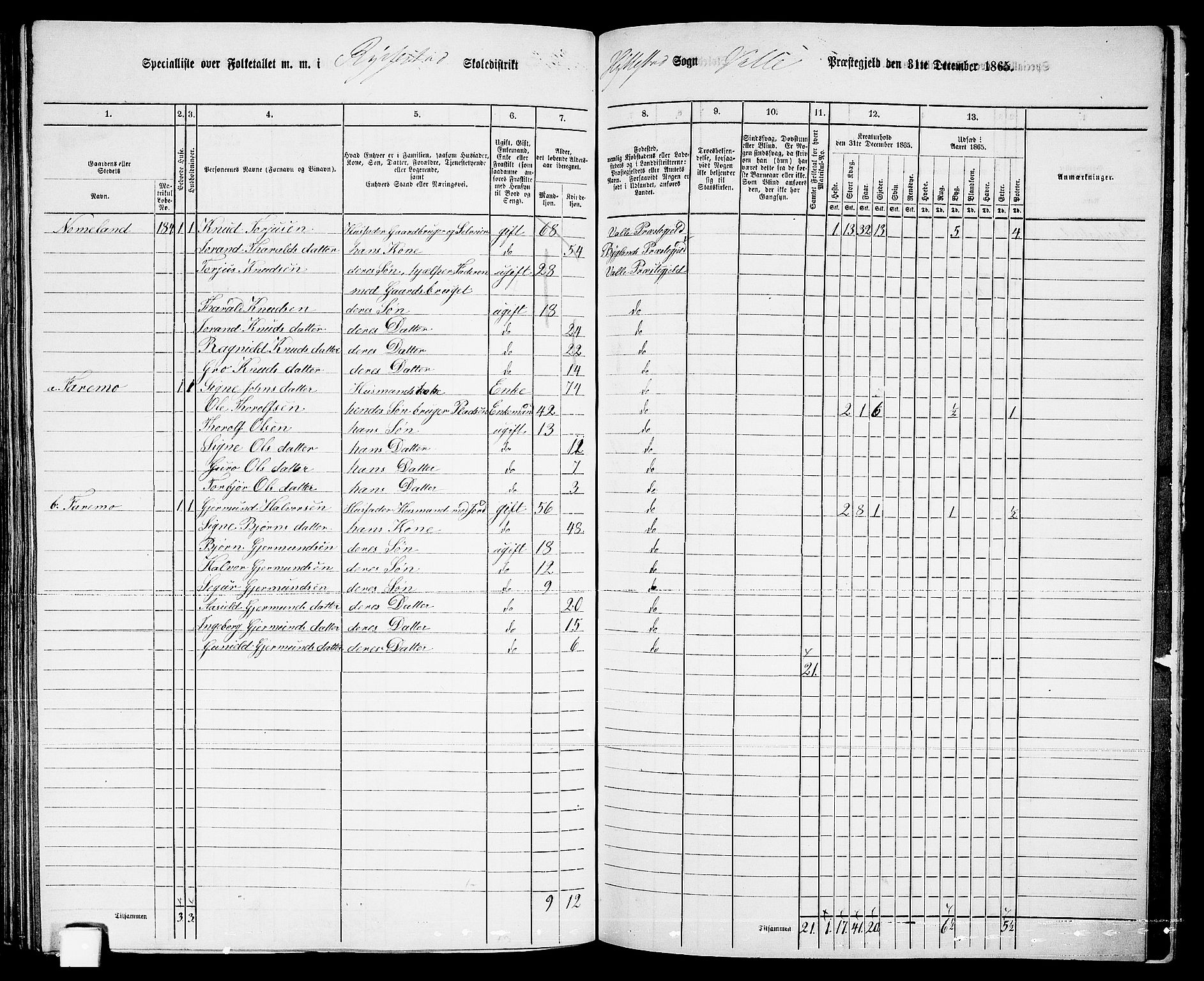 RA, 1865 census for Valle, 1865, p. 123