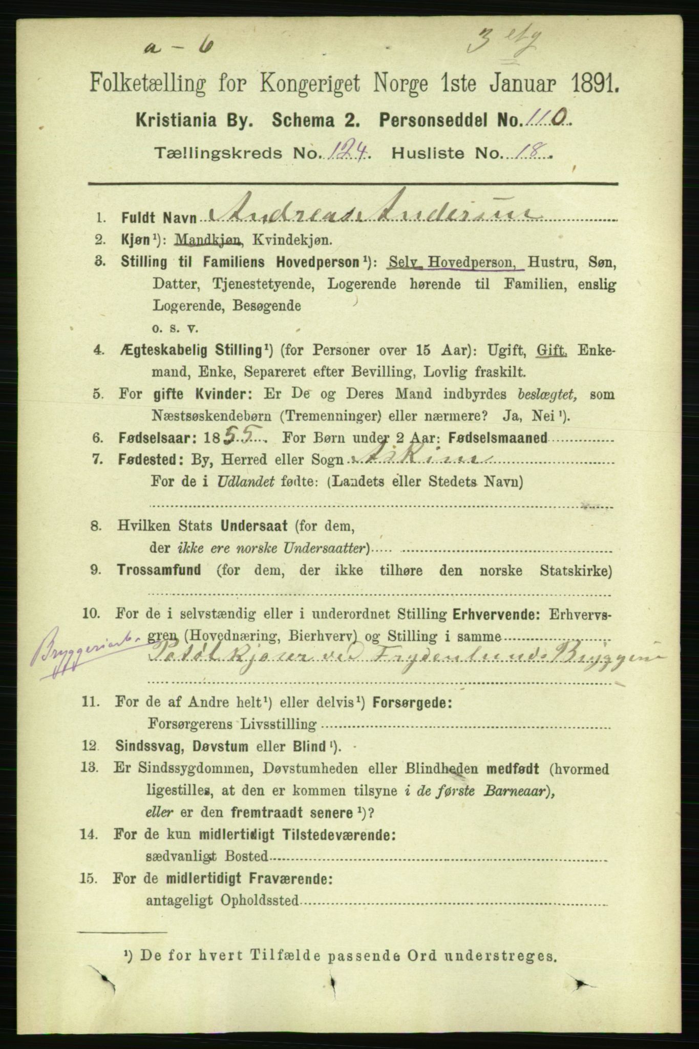 RA, 1891 census for 0301 Kristiania, 1891, p. 65691