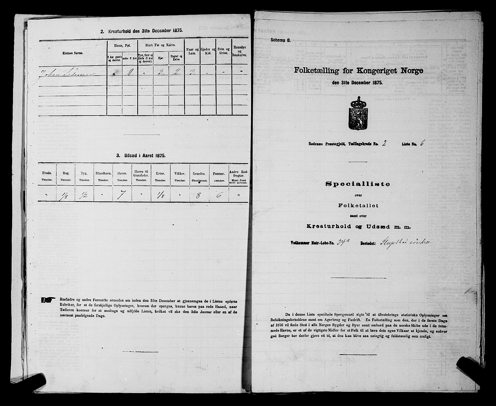 RA, 1875 census for 0120P Rødenes, 1875, p. 198