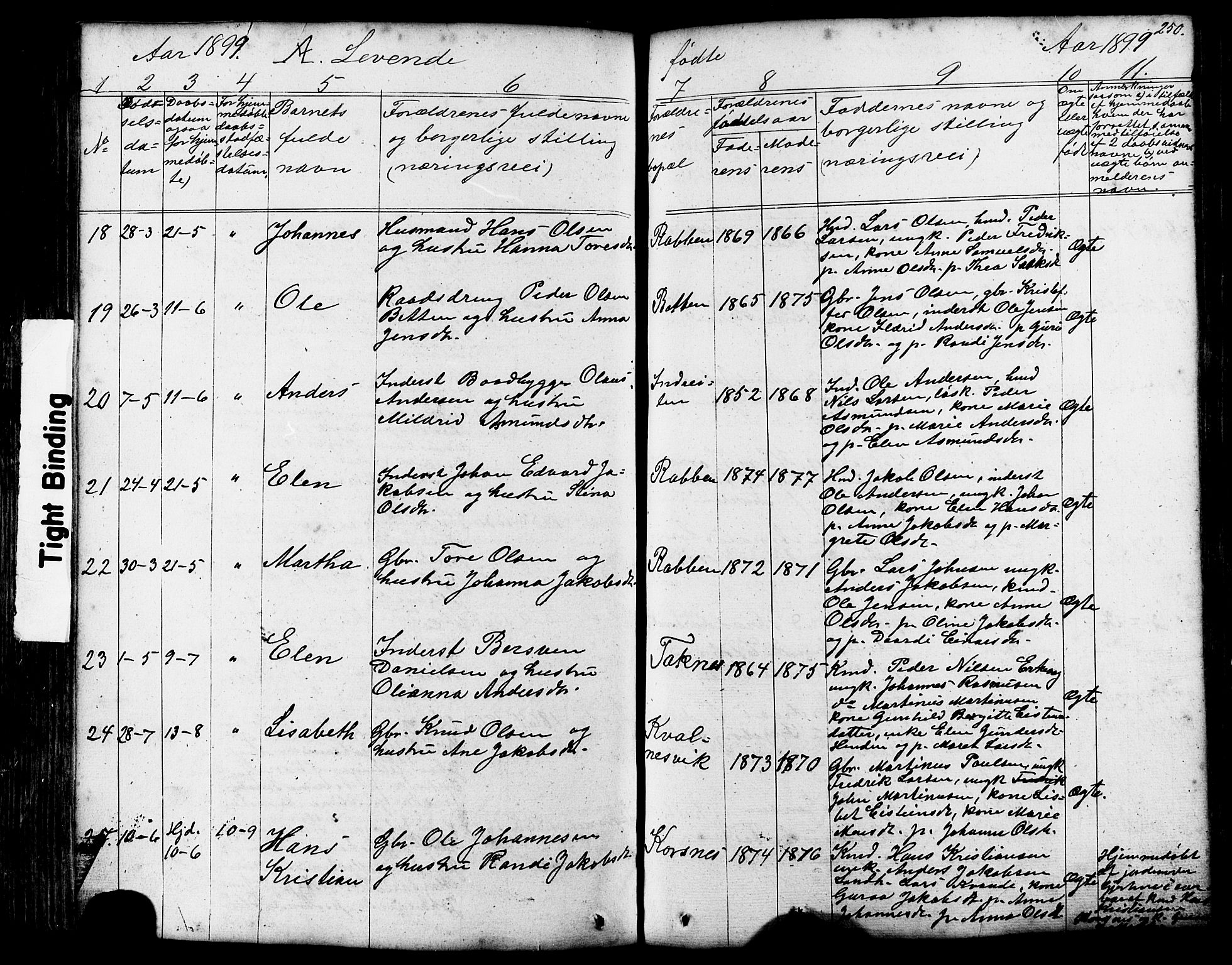 Ministerialprotokoller, klokkerbøker og fødselsregistre - Møre og Romsdal, SAT/A-1454/576/L0890: Parish register (copy) no. 576C01, 1837-1908, p. 250