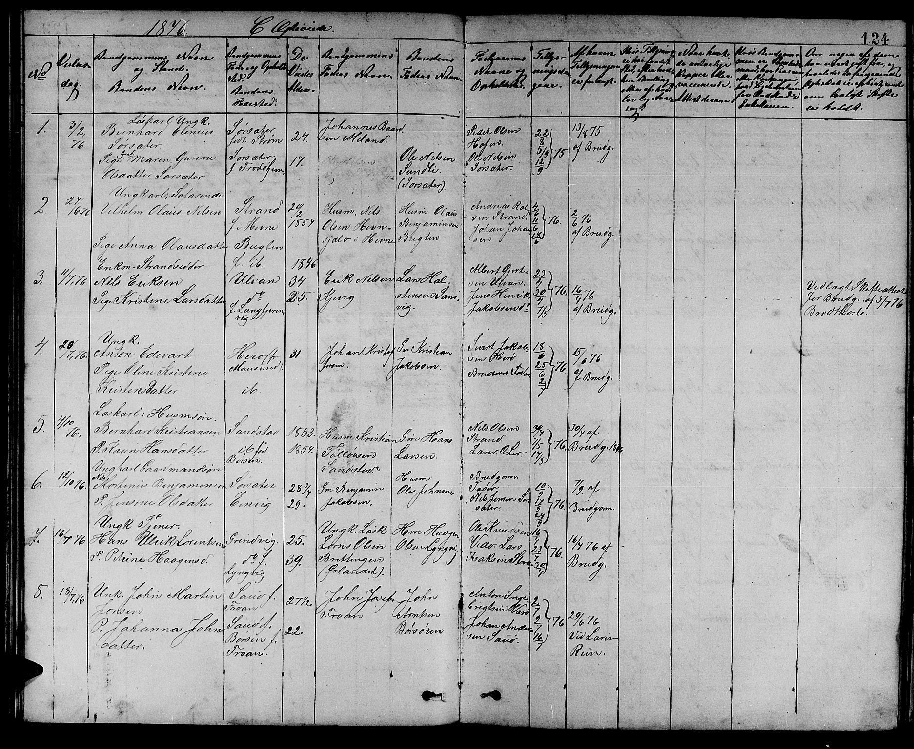 Ministerialprotokoller, klokkerbøker og fødselsregistre - Sør-Trøndelag, SAT/A-1456/637/L0561: Parish register (copy) no. 637C02, 1873-1882, p. 124