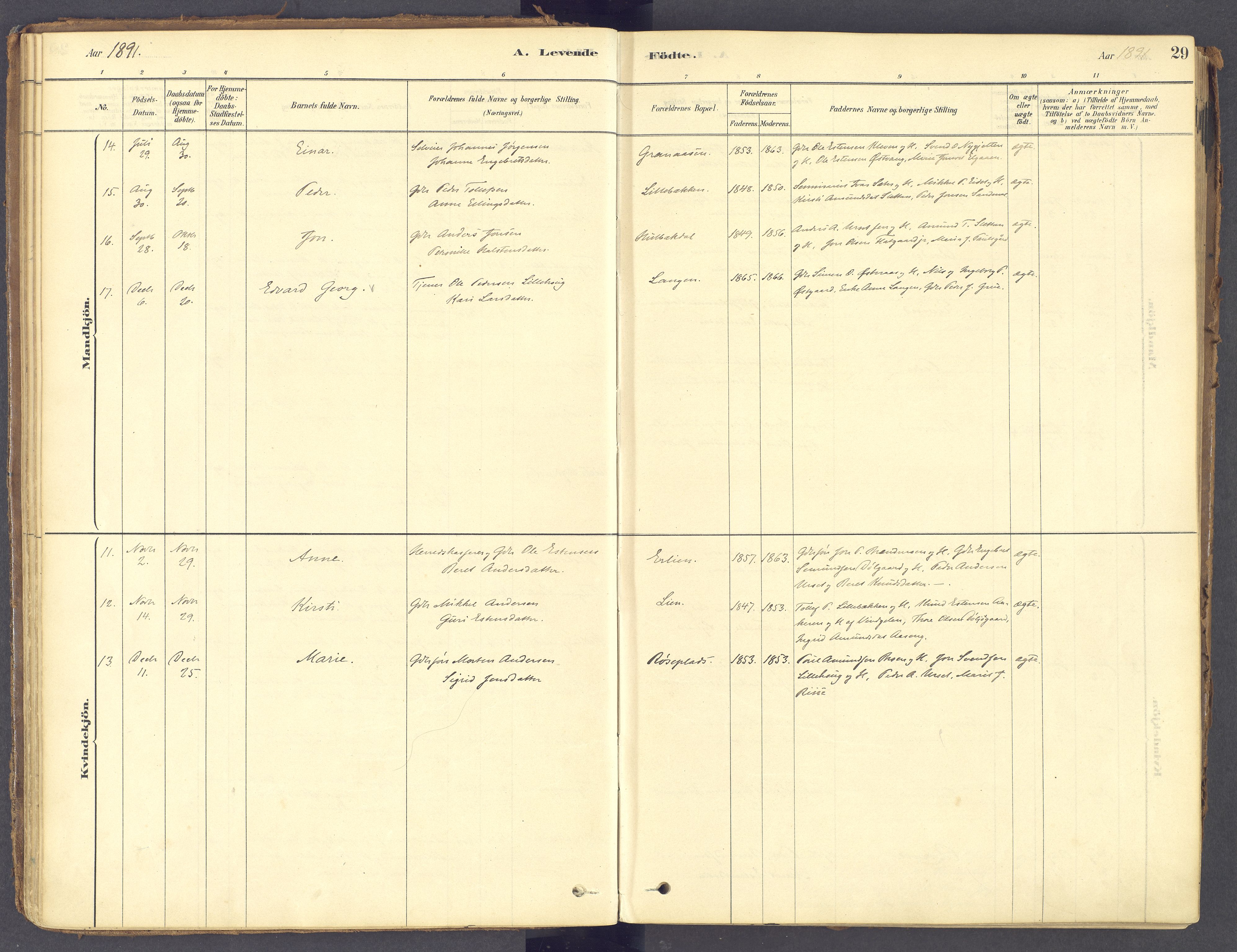 Tolga prestekontor, AV/SAH-PREST-062/K/L0011: Parish register (official) no. 11, 1877-1920, p. 29