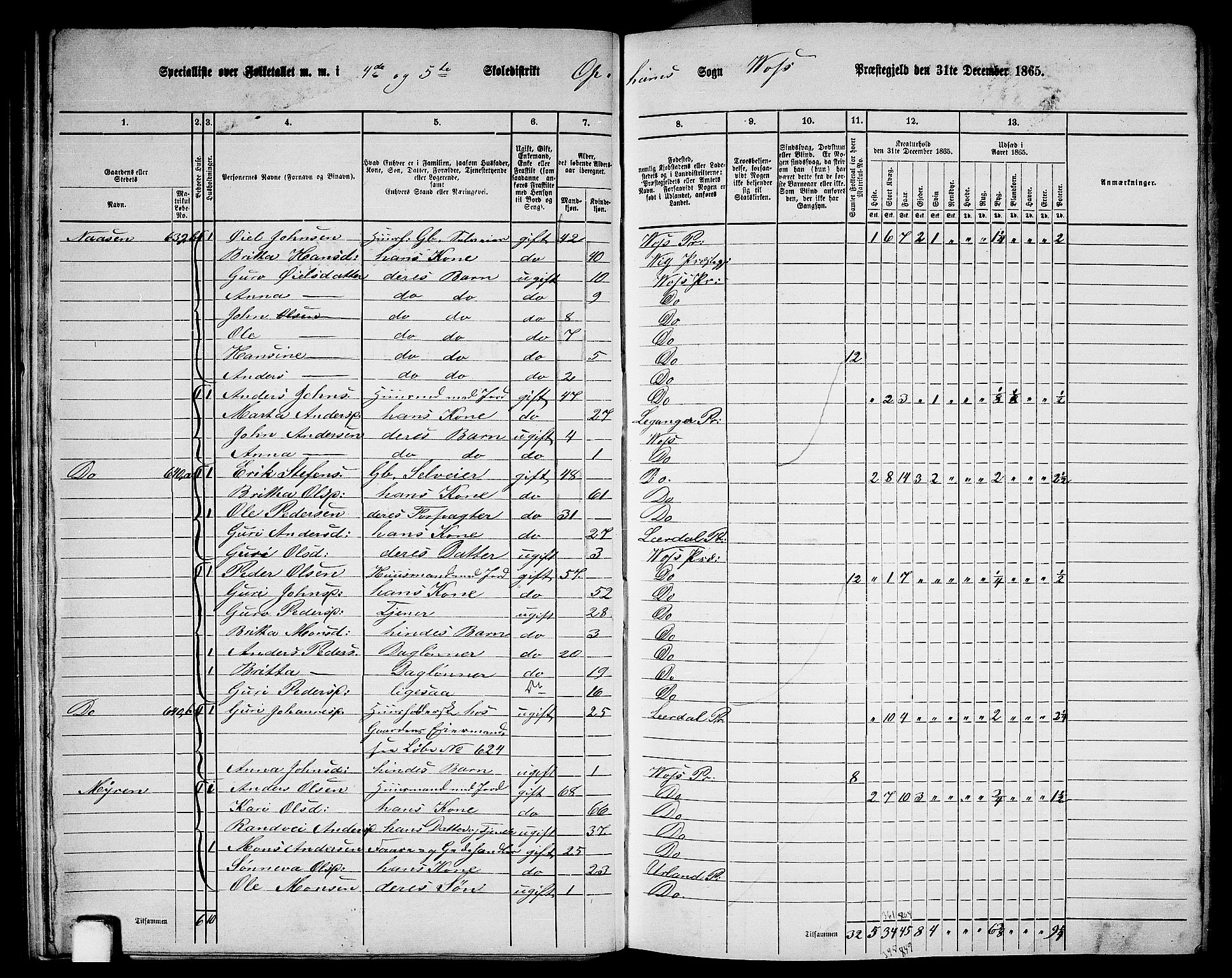 RA, 1865 census for Voss, 1865, p. 264