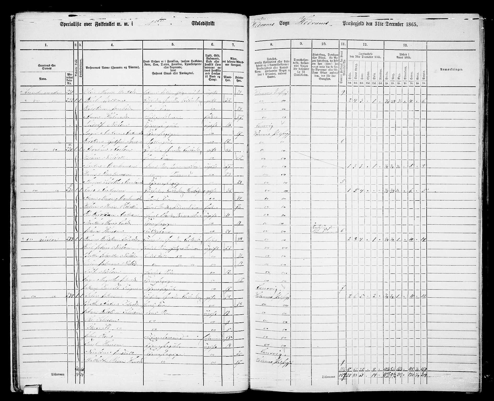 RA, 1865 census for Hedrum, 1865, p. 19