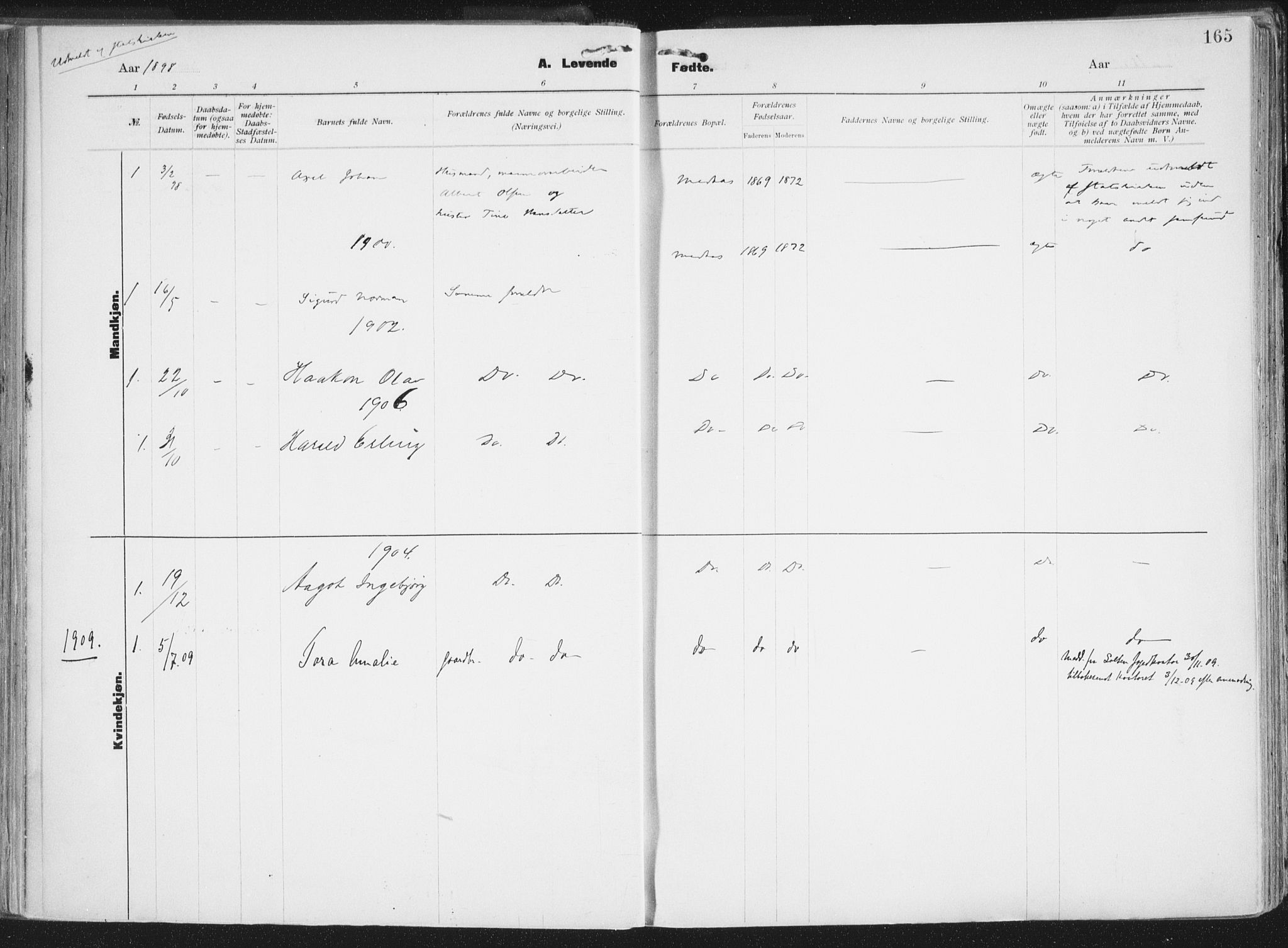 Ministerialprotokoller, klokkerbøker og fødselsregistre - Nordland, SAT/A-1459/849/L0696: Parish register (official) no. 849A08, 1898-1910, p. 165