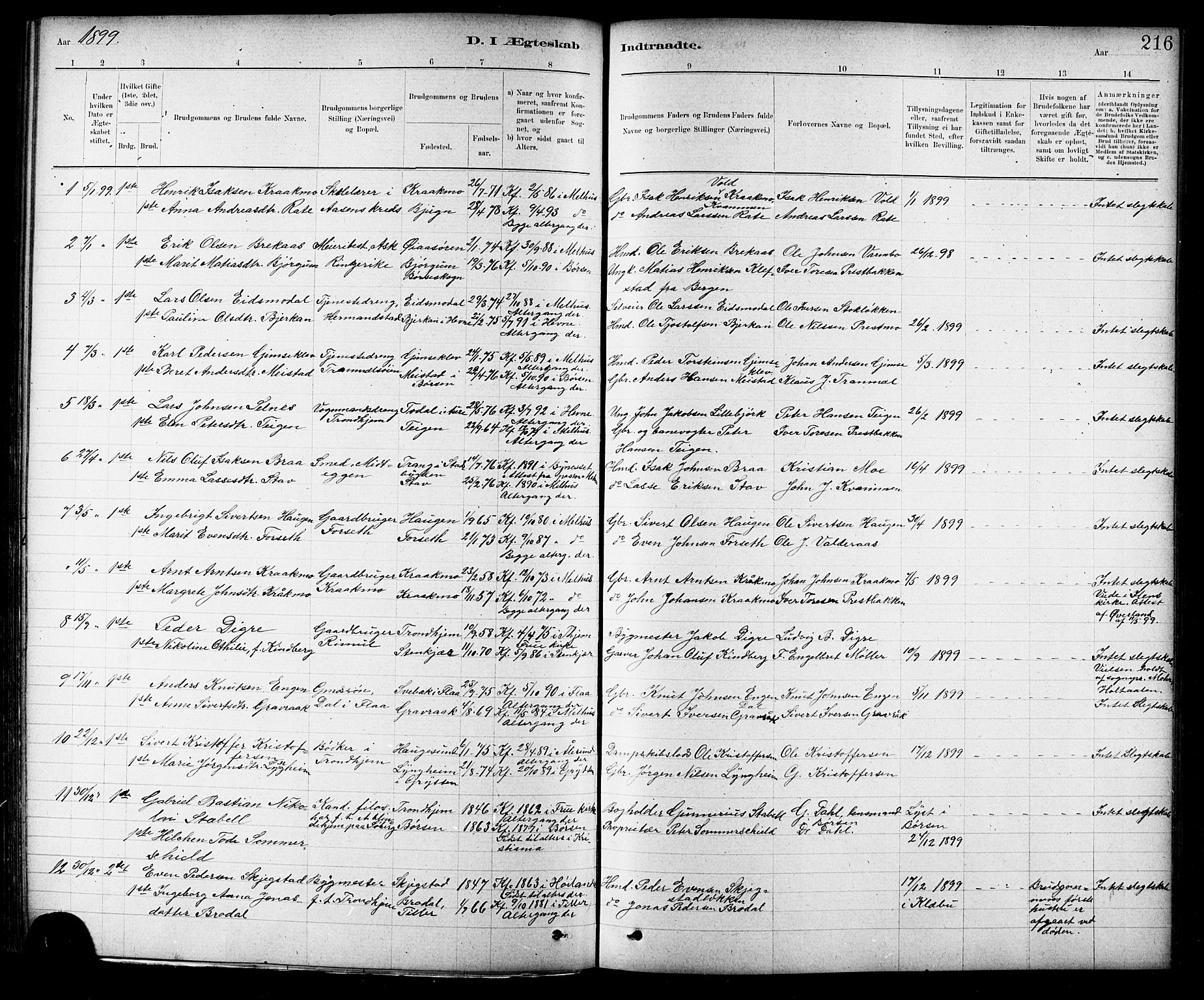 Ministerialprotokoller, klokkerbøker og fødselsregistre - Sør-Trøndelag, SAT/A-1456/691/L1094: Parish register (copy) no. 691C05, 1879-1911, p. 216