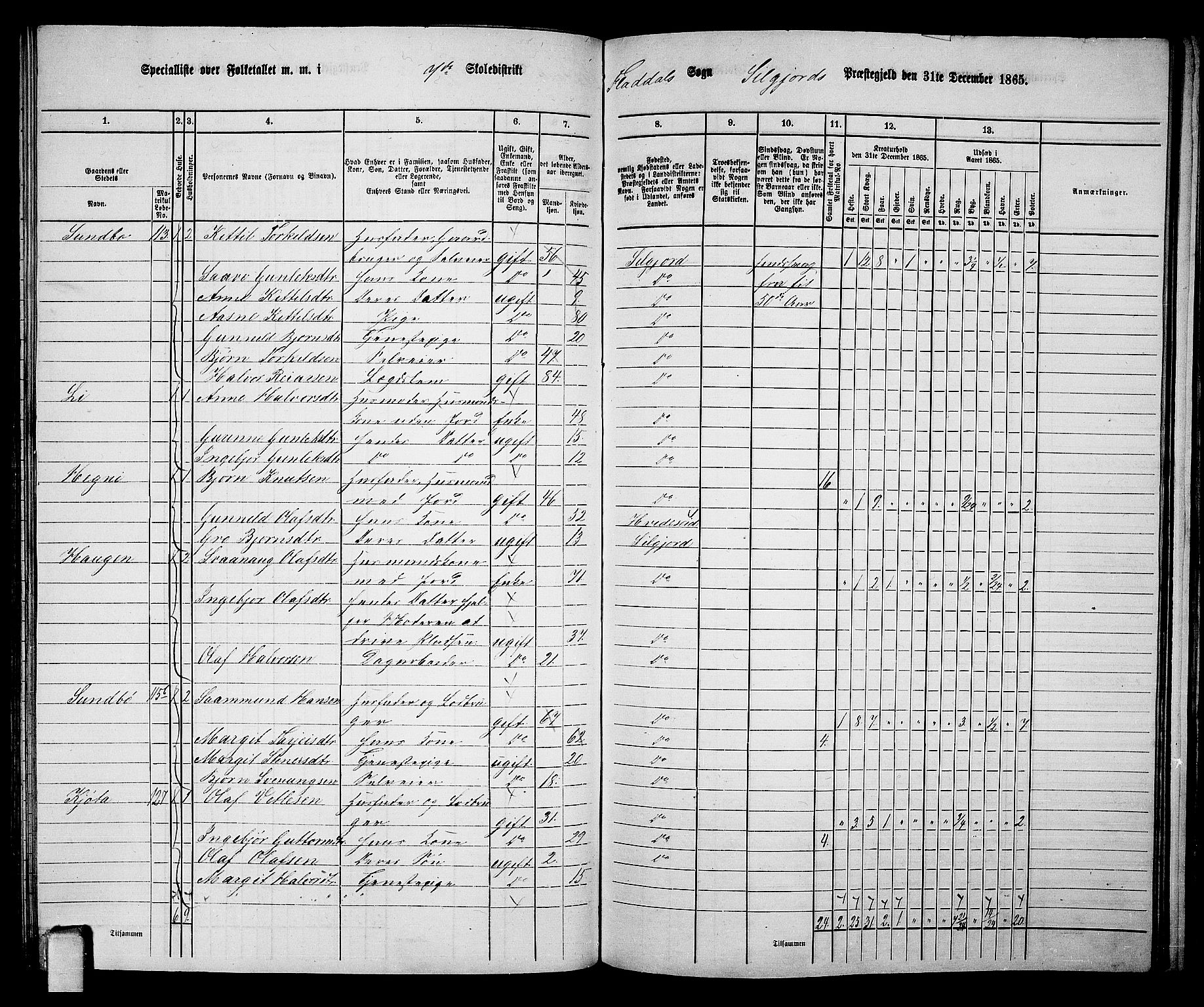 RA, 1865 census for Seljord, 1865, p. 100