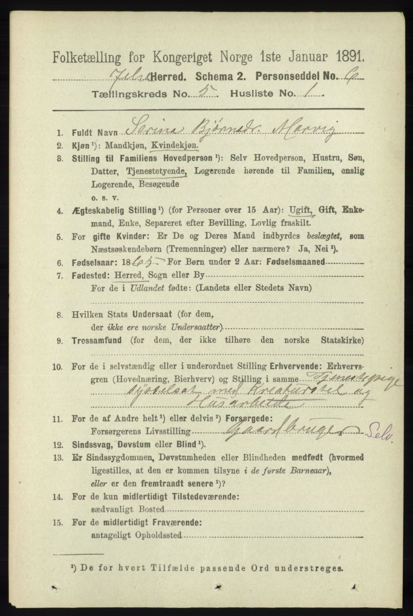 RA, 1891 census for 1138 Jelsa, 1891, p. 1068