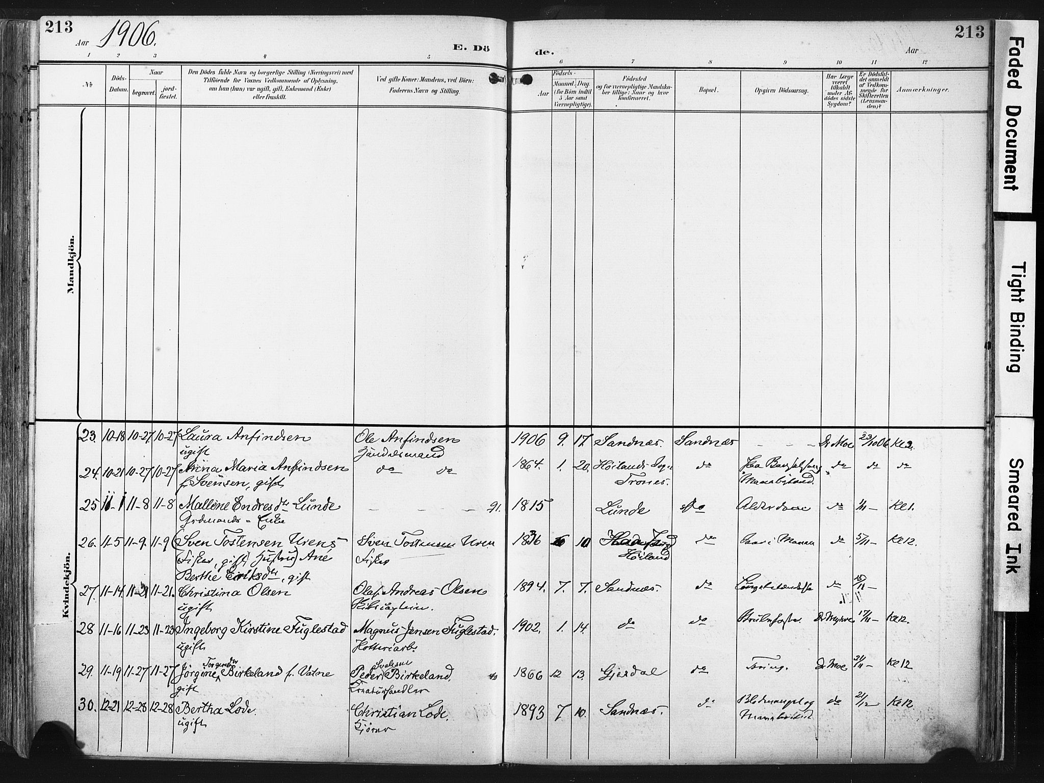 Høyland sokneprestkontor, SAST/A-101799/001/30BA/L0016: Parish register (official) no. A 16, 1899-1911, p. 213