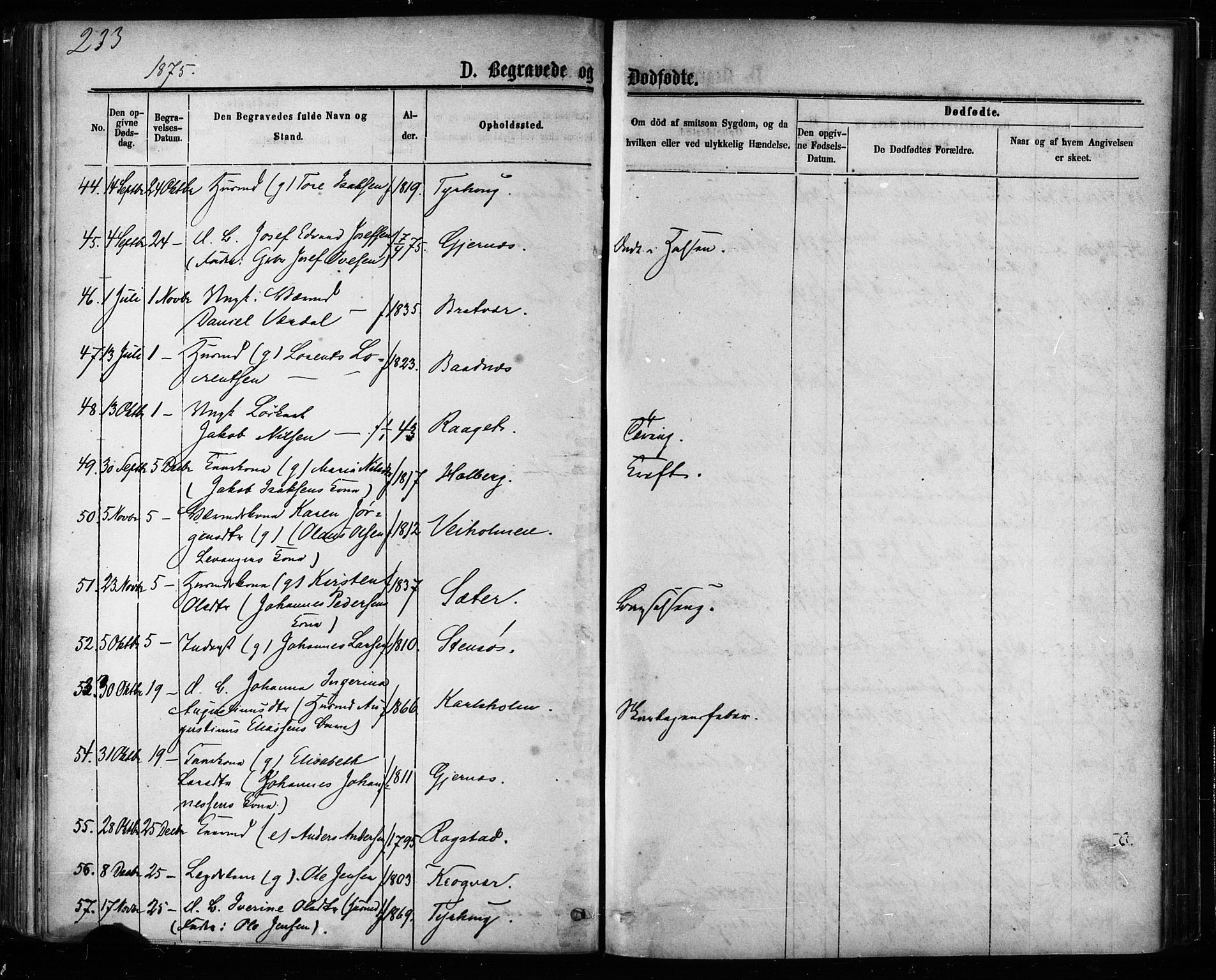 Ministerialprotokoller, klokkerbøker og fødselsregistre - Møre og Romsdal, AV/SAT-A-1454/581/L0938: Parish register (official) no. 581A06, 1873-1879, p. 233