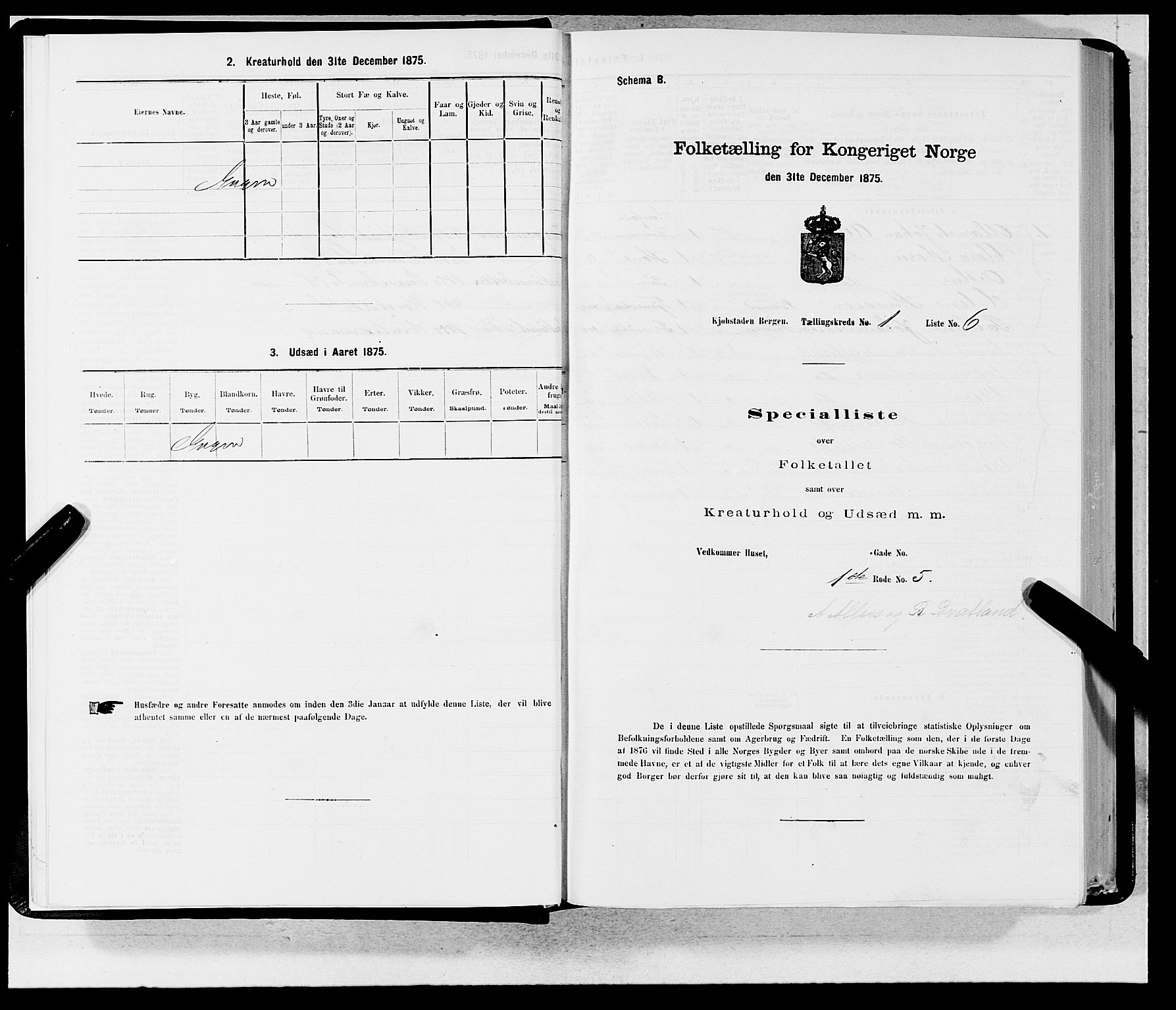 SAB, 1875 census for 1301 Bergen, 1875, p. 13