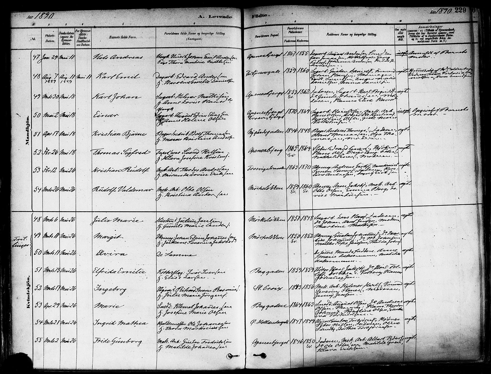 Fredrikstad domkirkes prestekontor Kirkebøker, SAO/A-10906/F/Fa/L0002: Parish register (official) no. 2, 1878-1894, p. 229