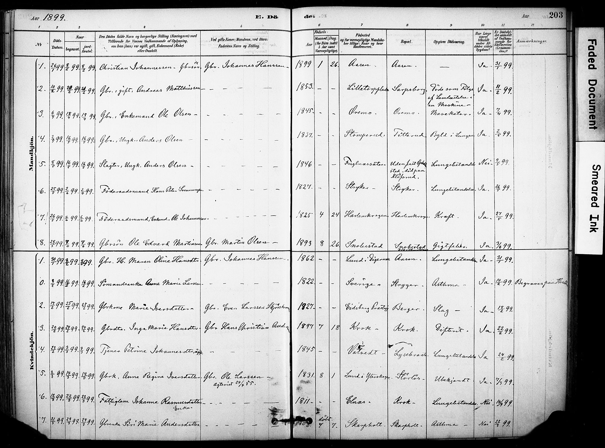 Rakkestad prestekontor Kirkebøker, AV/SAO-A-2008/F/Fb/L0001: Parish register (official) no. II 1, 1878-1899, p. 203