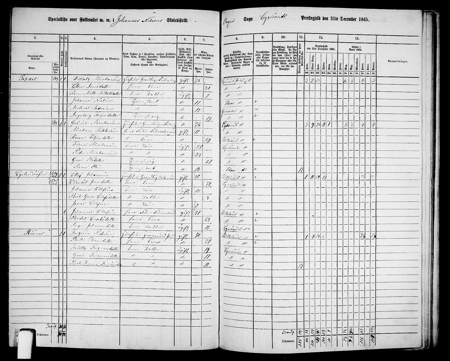 RA, 1865 census for Eigersund/Eigersund og Ogna, 1865, p. 138