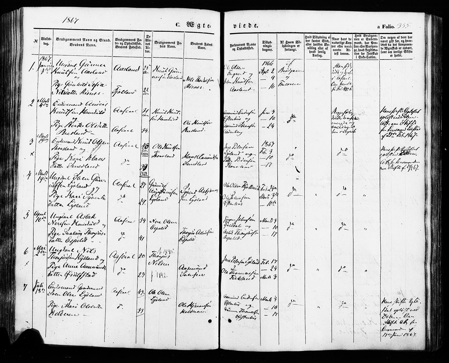 Åseral sokneprestkontor, SAK/1111-0051/F/Fa/L0002: Parish register (official) no. A 2, 1854-1884, p. 355