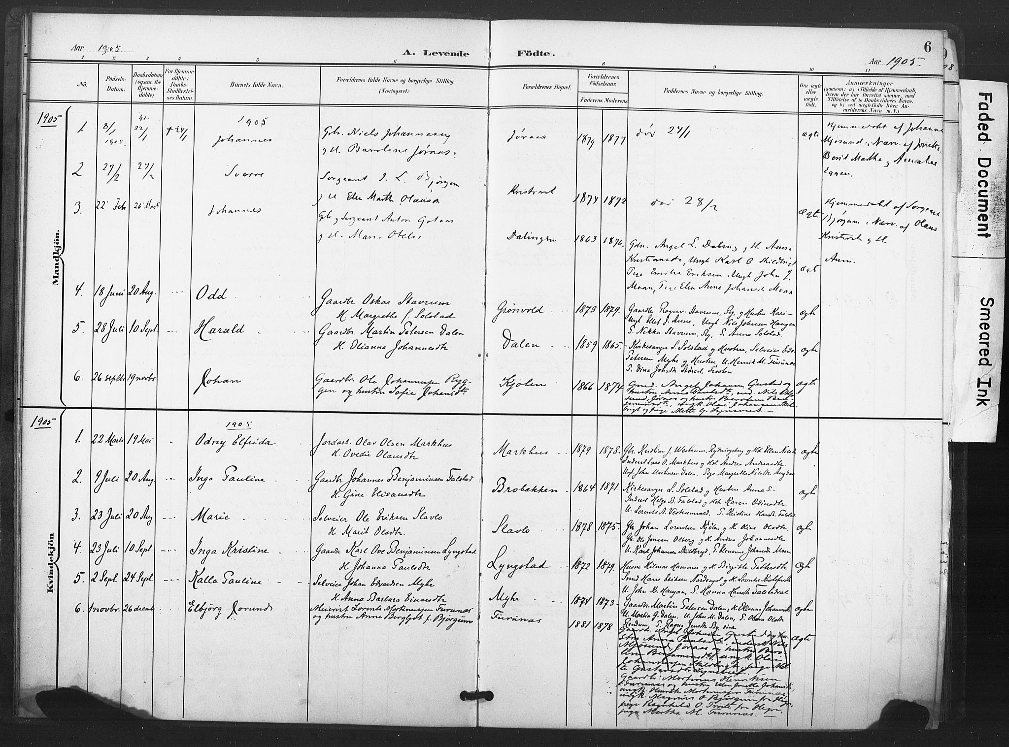 Ministerialprotokoller, klokkerbøker og fødselsregistre - Nord-Trøndelag, SAT/A-1458/719/L0179: Parish register (official) no. 719A02, 1901-1923, p. 6