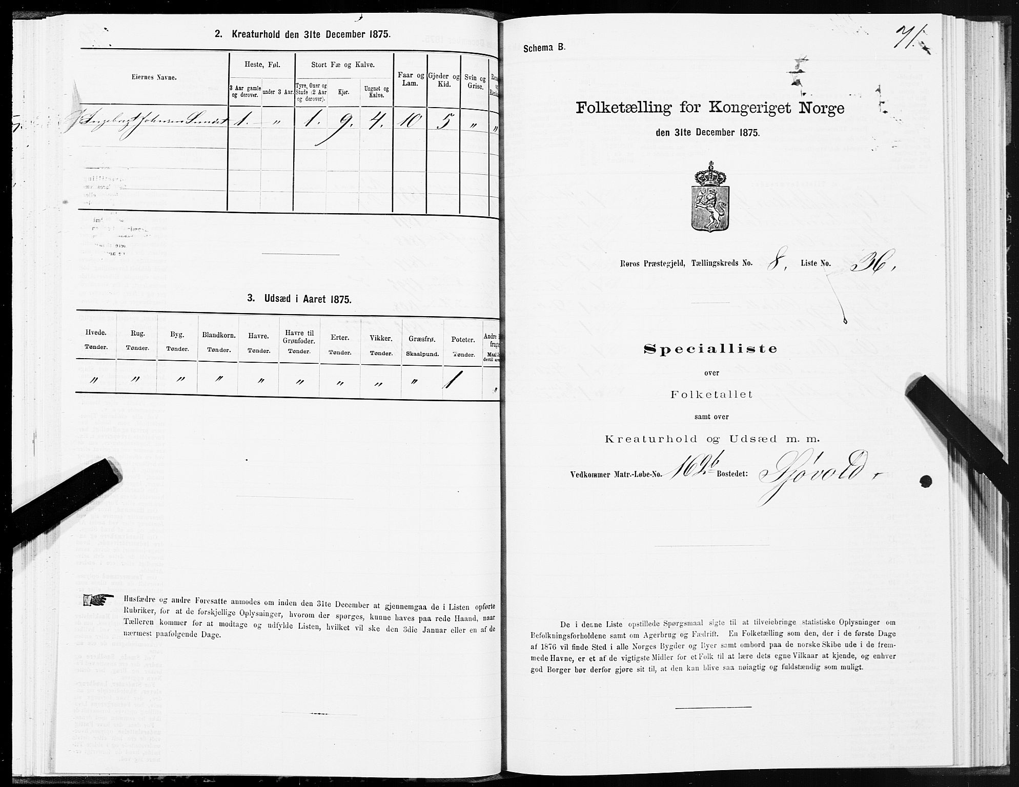 SAT, 1875 census for 1640P Røros, 1875, p. 5071