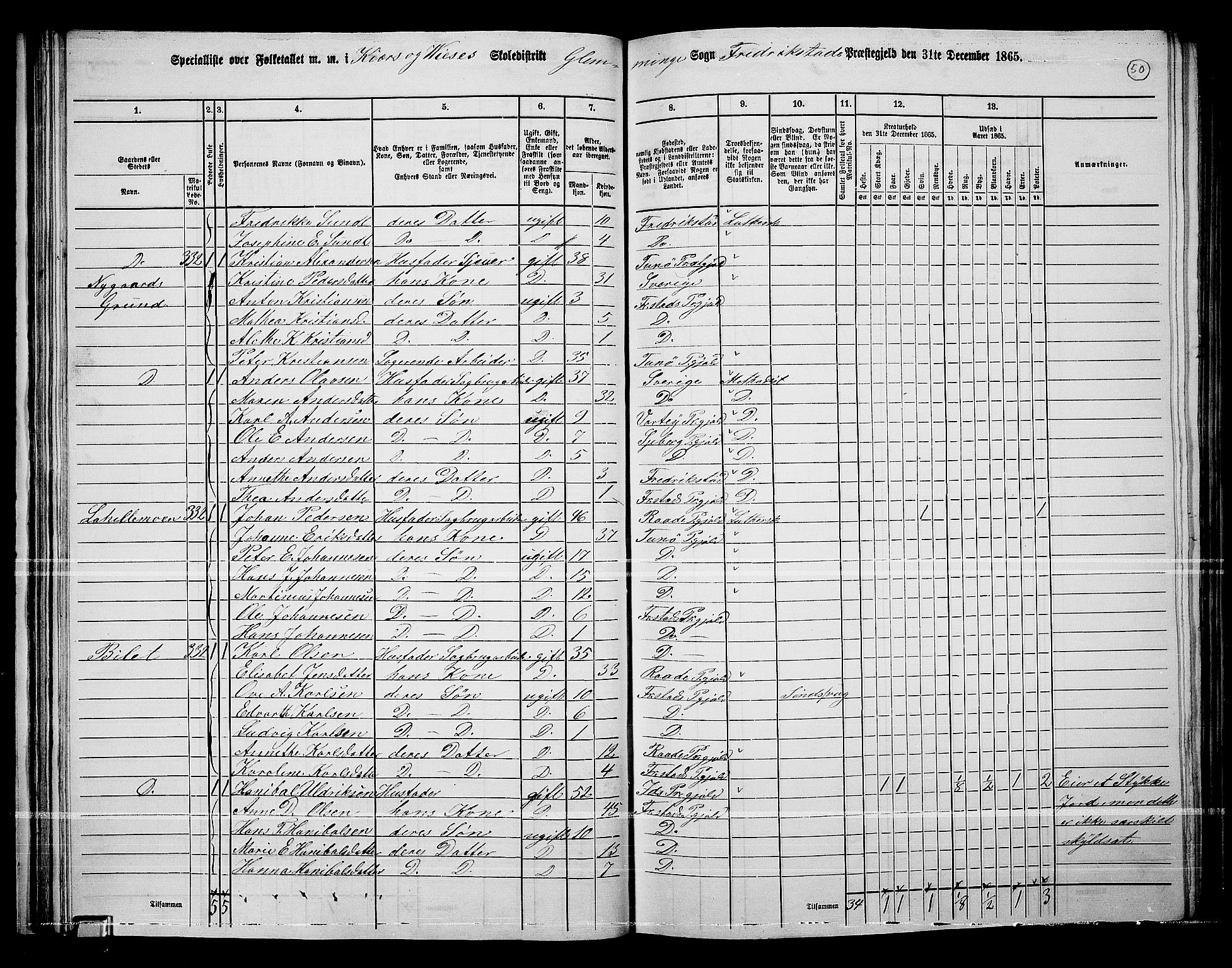 RA, 1865 census for Fredrikstad/Glemmen, 1865, p. 48