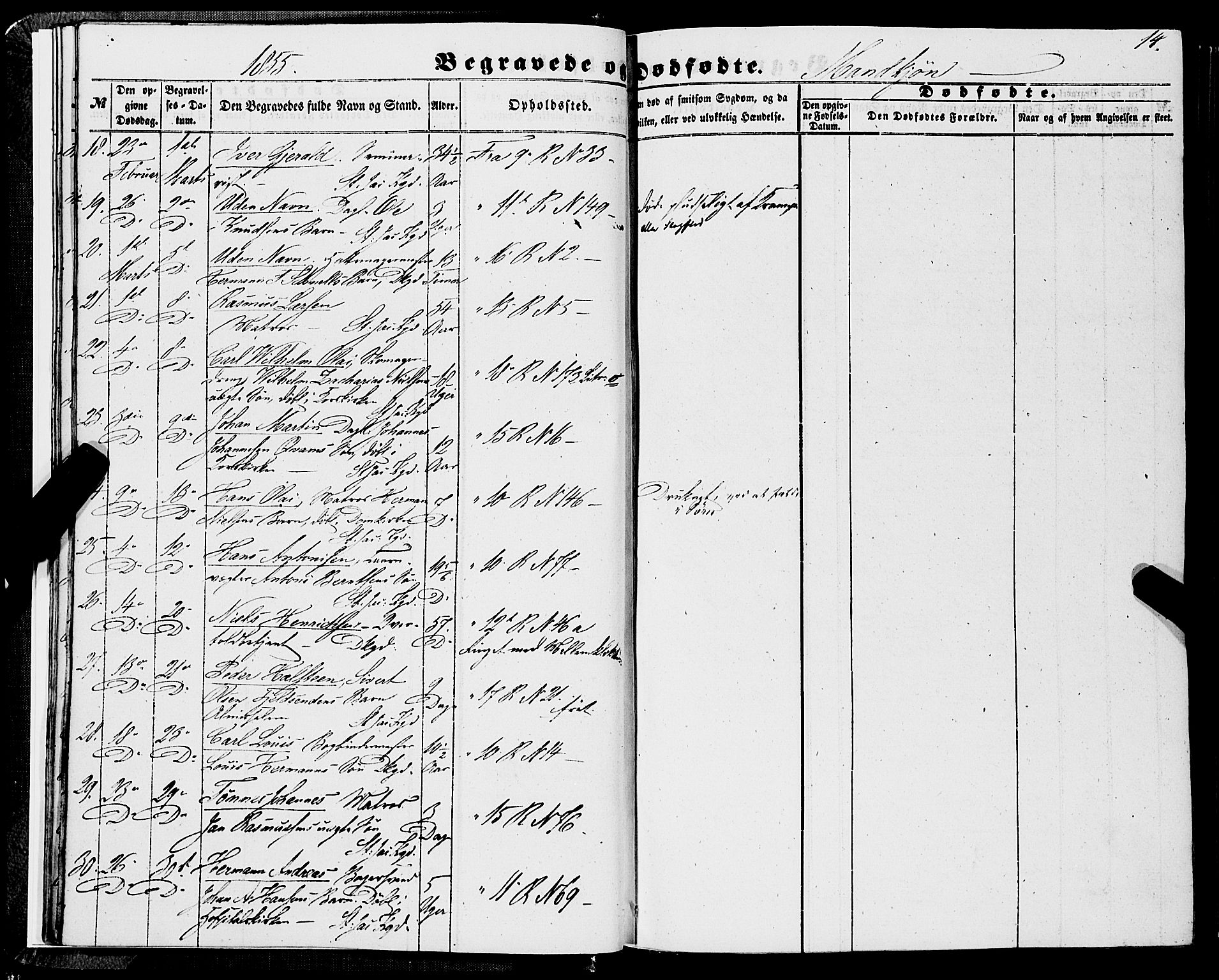 Domkirken sokneprestembete, AV/SAB-A-74801/H/Haa/L0041: Parish register (official) no. E 2, 1853-1863, p. 14