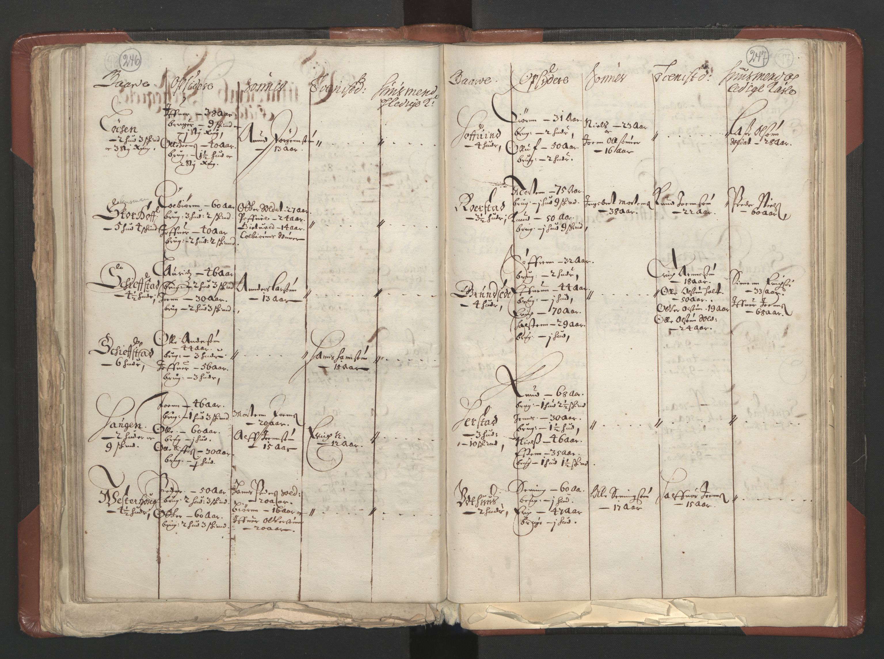 RA, Bailiff's Census 1664-1666, no. 3: Hedmark fogderi and Solør, Østerdal and Odal fogderi, 1664, p. 246-247