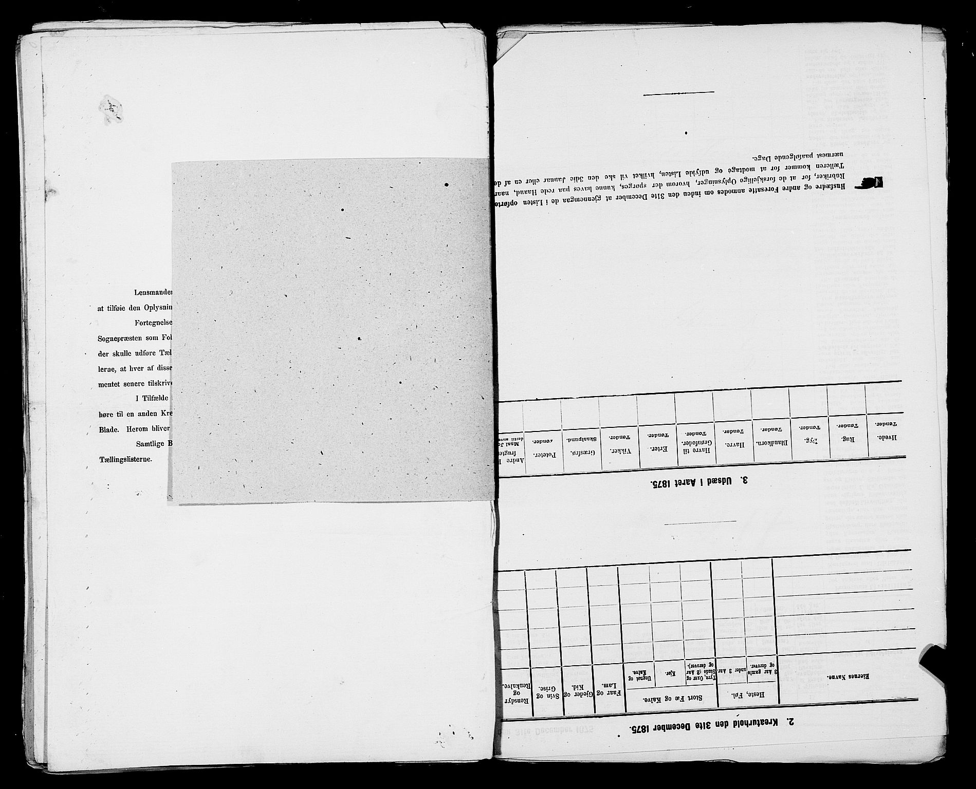 SAST, 1875 census for 1138P Jelsa, 1875, p. 37