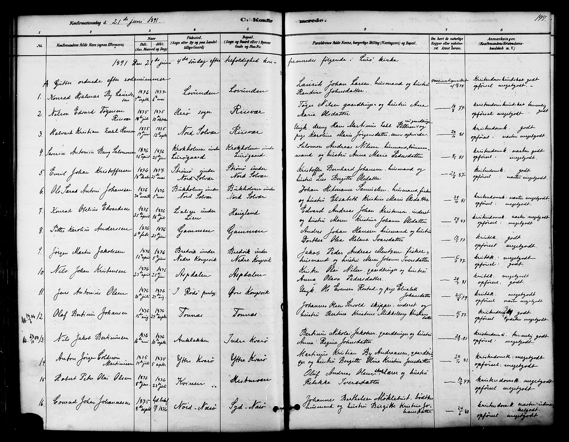 Ministerialprotokoller, klokkerbøker og fødselsregistre - Nordland, SAT/A-1459/839/L0568: Parish register (official) no. 839A05, 1880-1902, p. 197