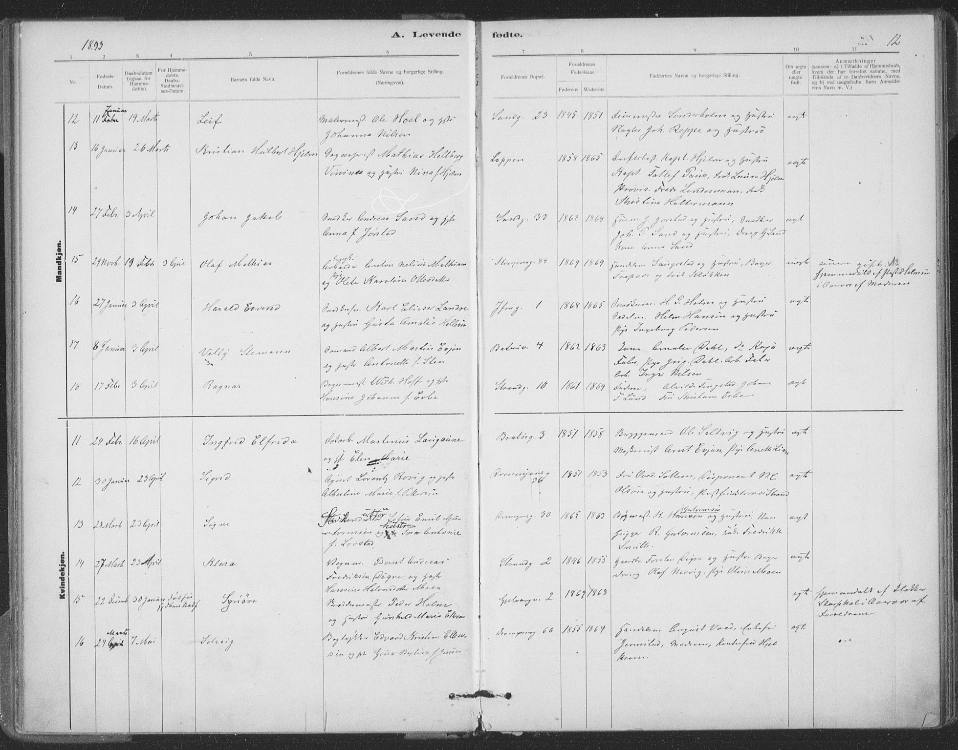 Ministerialprotokoller, klokkerbøker og fødselsregistre - Sør-Trøndelag, SAT/A-1456/602/L0122: Parish register (official) no. 602A20, 1892-1908, p. 12