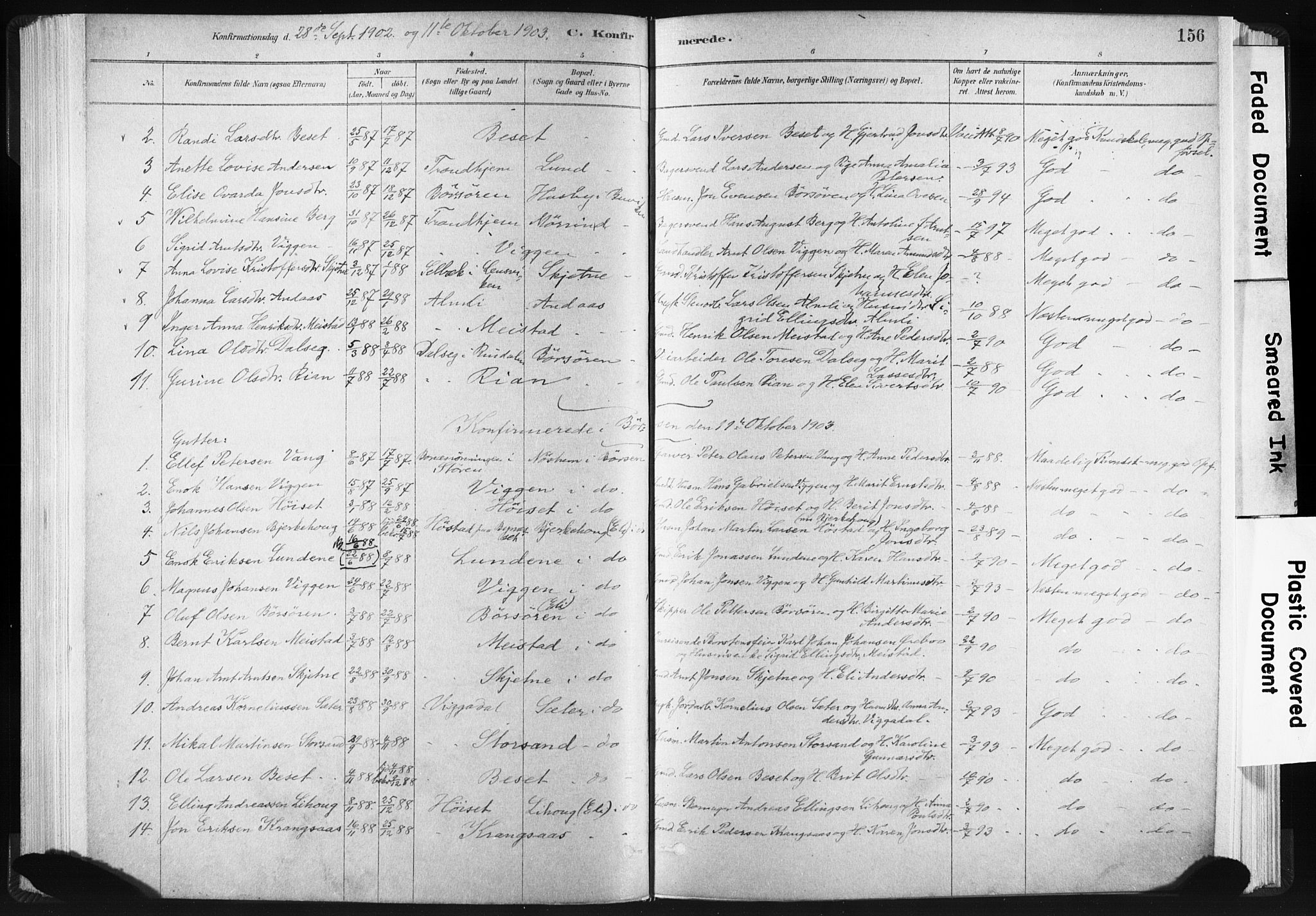 Ministerialprotokoller, klokkerbøker og fødselsregistre - Sør-Trøndelag, SAT/A-1456/665/L0773: Parish register (official) no. 665A08, 1879-1905, p. 156
