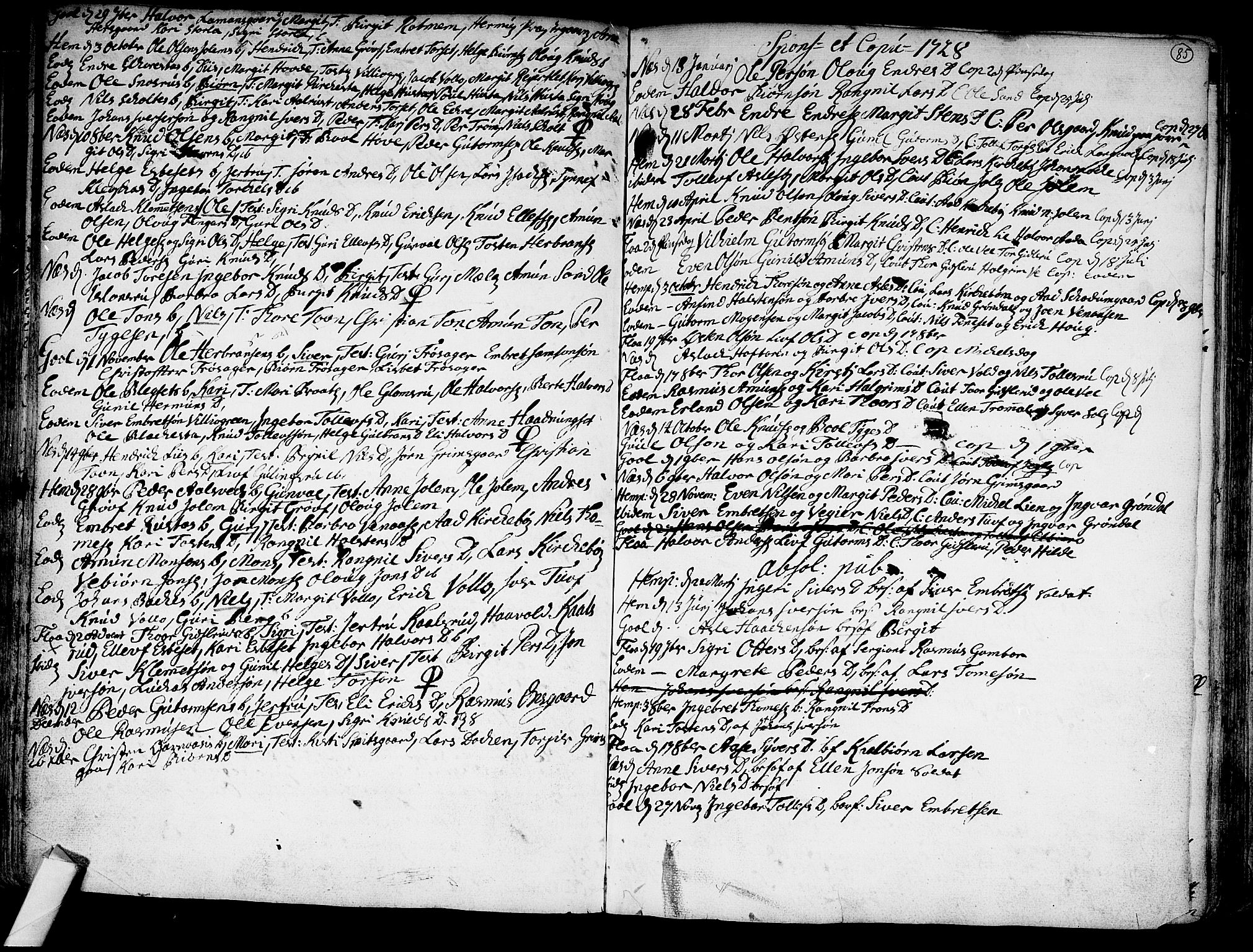 Nes kirkebøker, SAKO/A-236/F/Fa/L0002: Parish register (official) no. 2, 1707-1759, p. 85