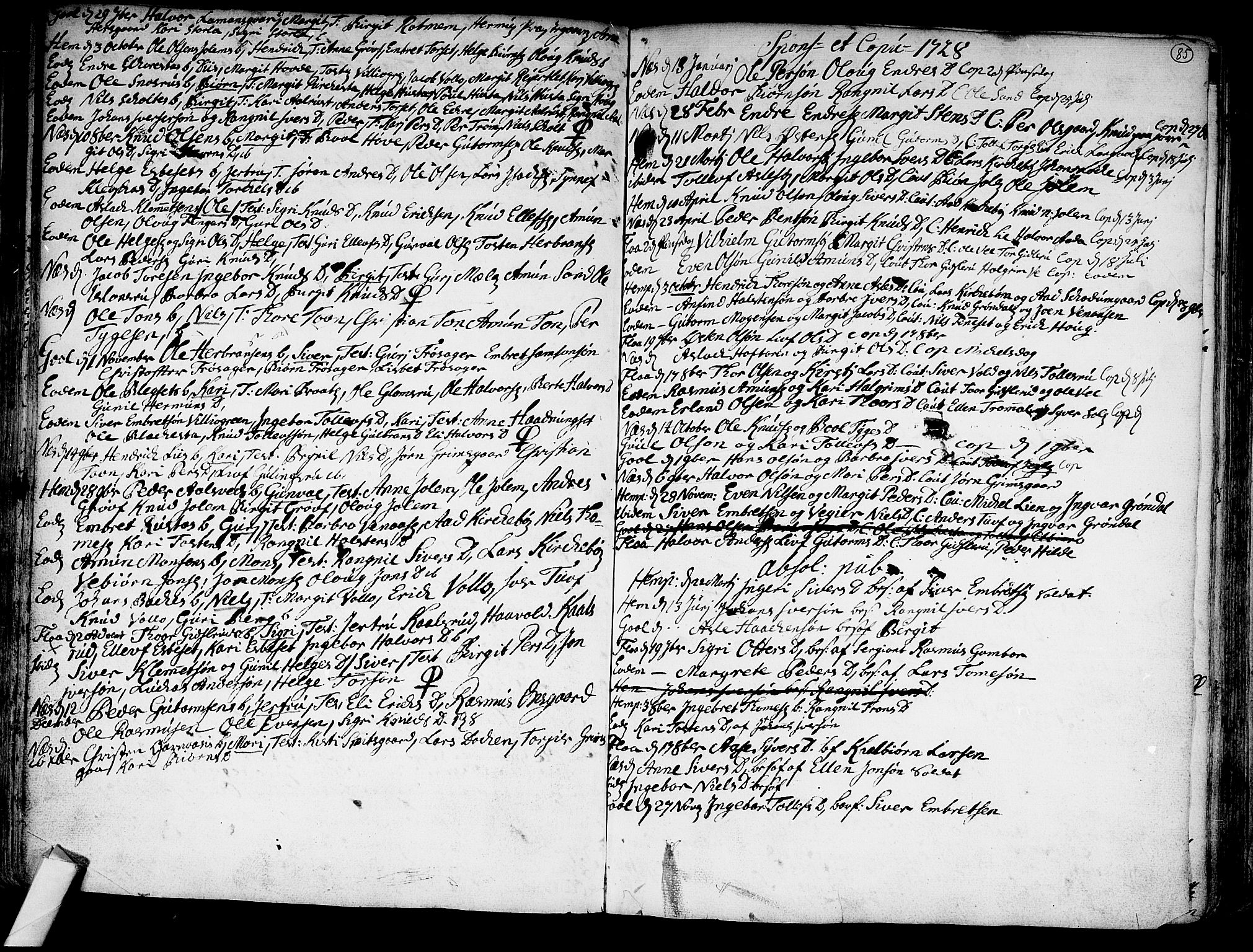 Nes kirkebøker, AV/SAKO-A-236/F/Fa/L0002: Parish register (official) no. 2, 1707-1759, p. 85