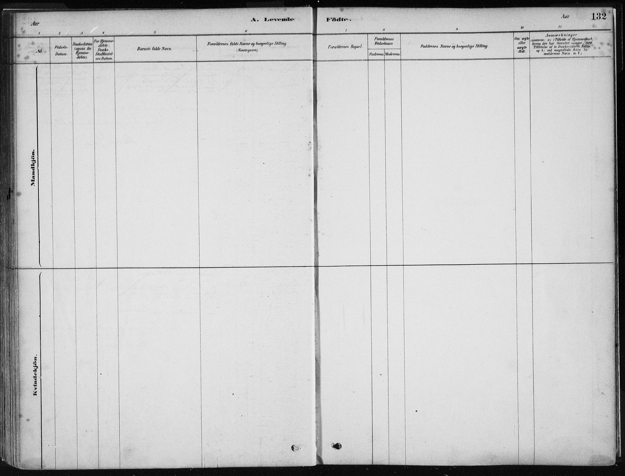 Stord sokneprestembete, AV/SAB-A-78201/H/Haa: Parish register (official) no. B 2, 1878-1913, p. 132