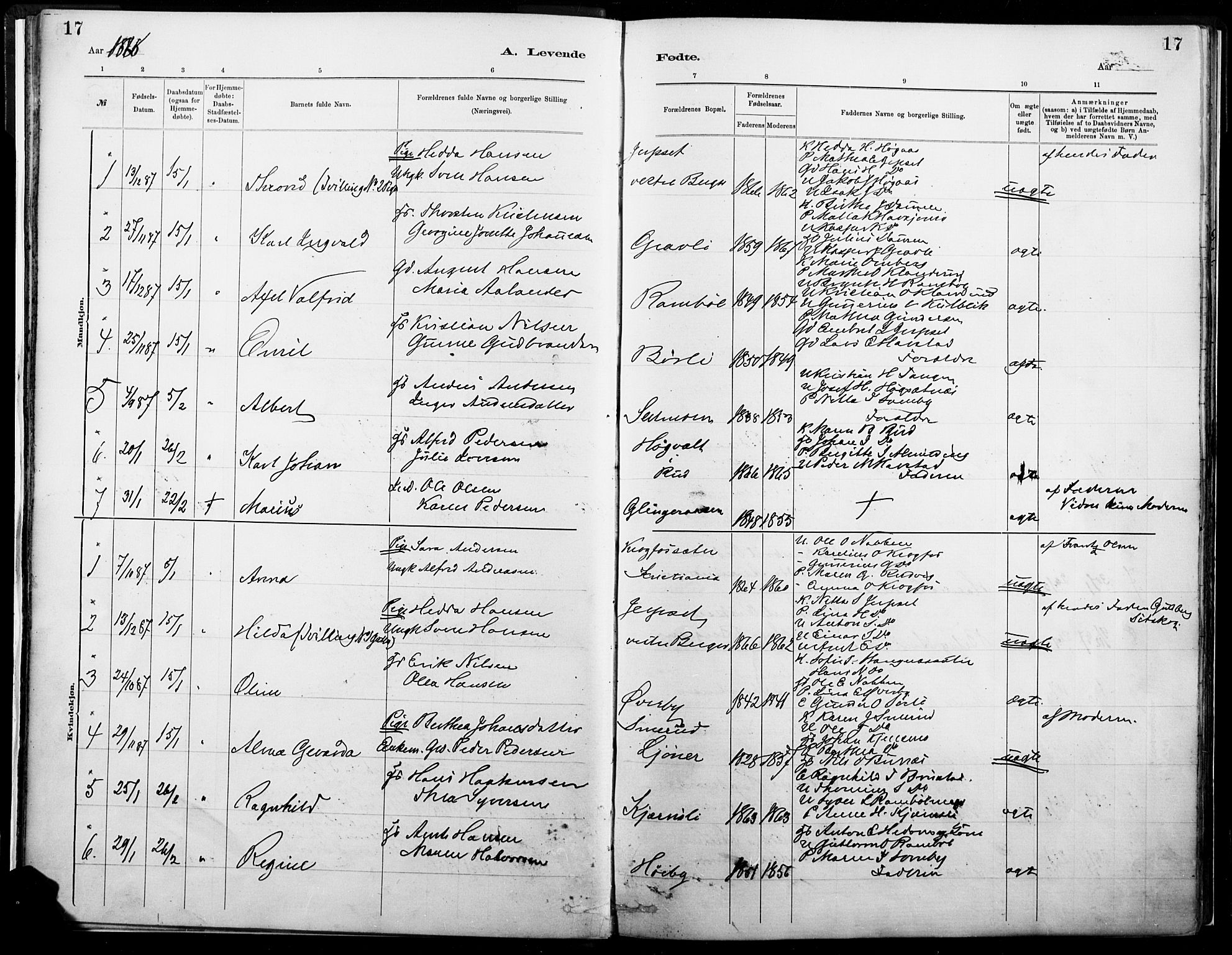 Eidskog prestekontor, SAH/PREST-026/H/Ha/Haa/L0004: Parish register (official) no. 4, 1884-1897, p. 17