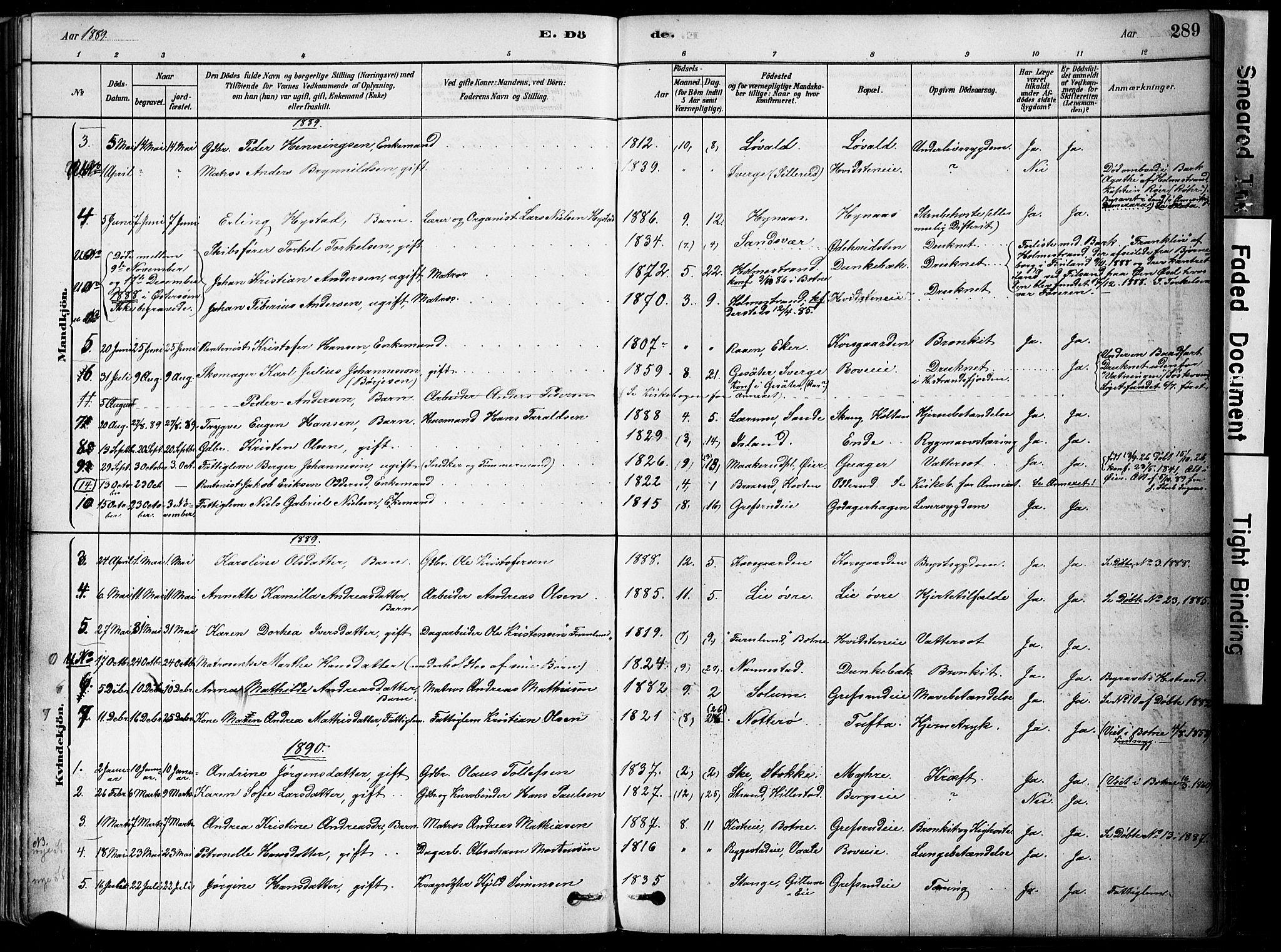 Botne kirkebøker, AV/SAKO-A-340/F/Fa/L0007: Parish register (official) no. I 7, 1878-1910, p. 289