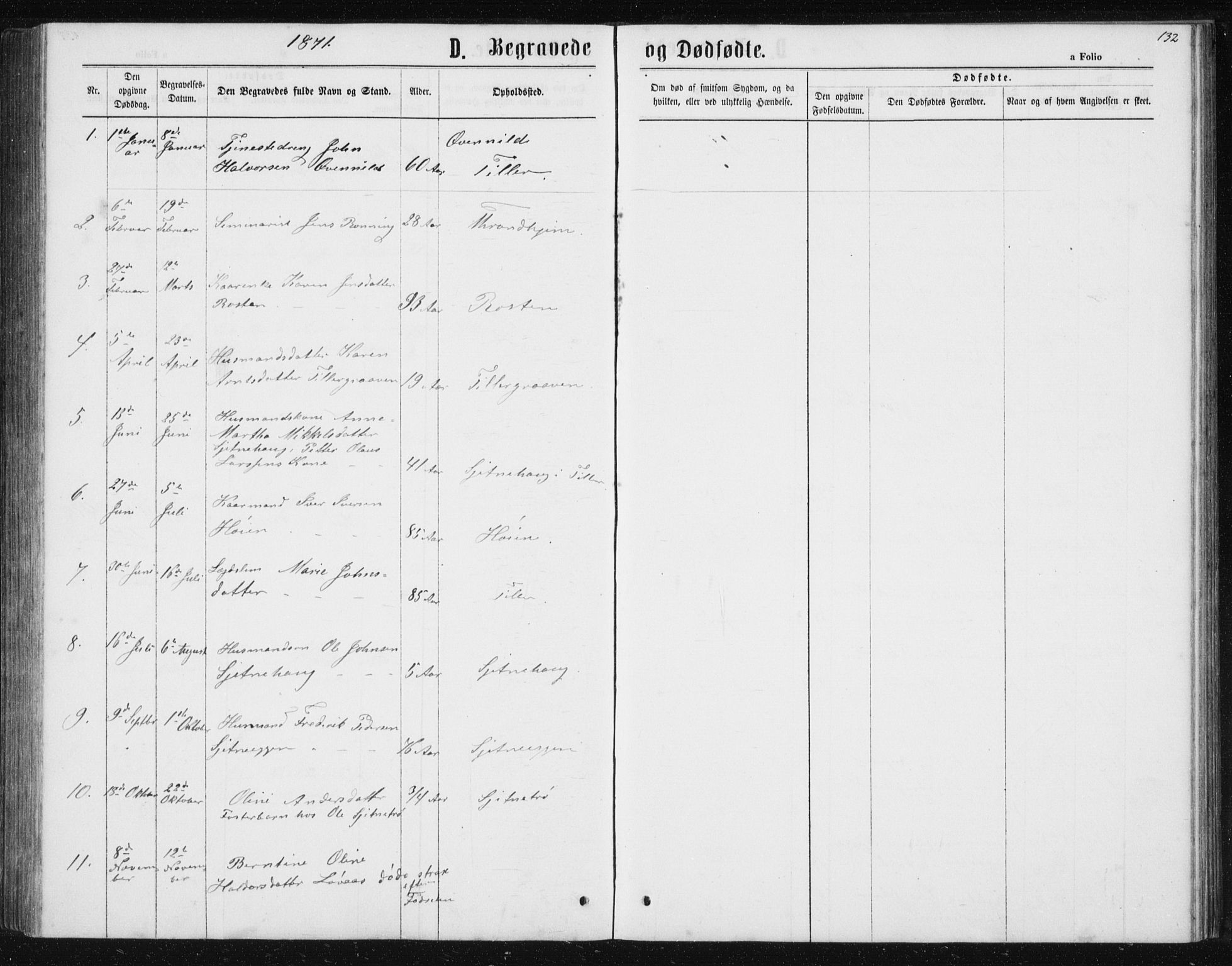 Ministerialprotokoller, klokkerbøker og fødselsregistre - Sør-Trøndelag, SAT/A-1456/621/L0459: Parish register (copy) no. 621C02, 1866-1895, p. 132