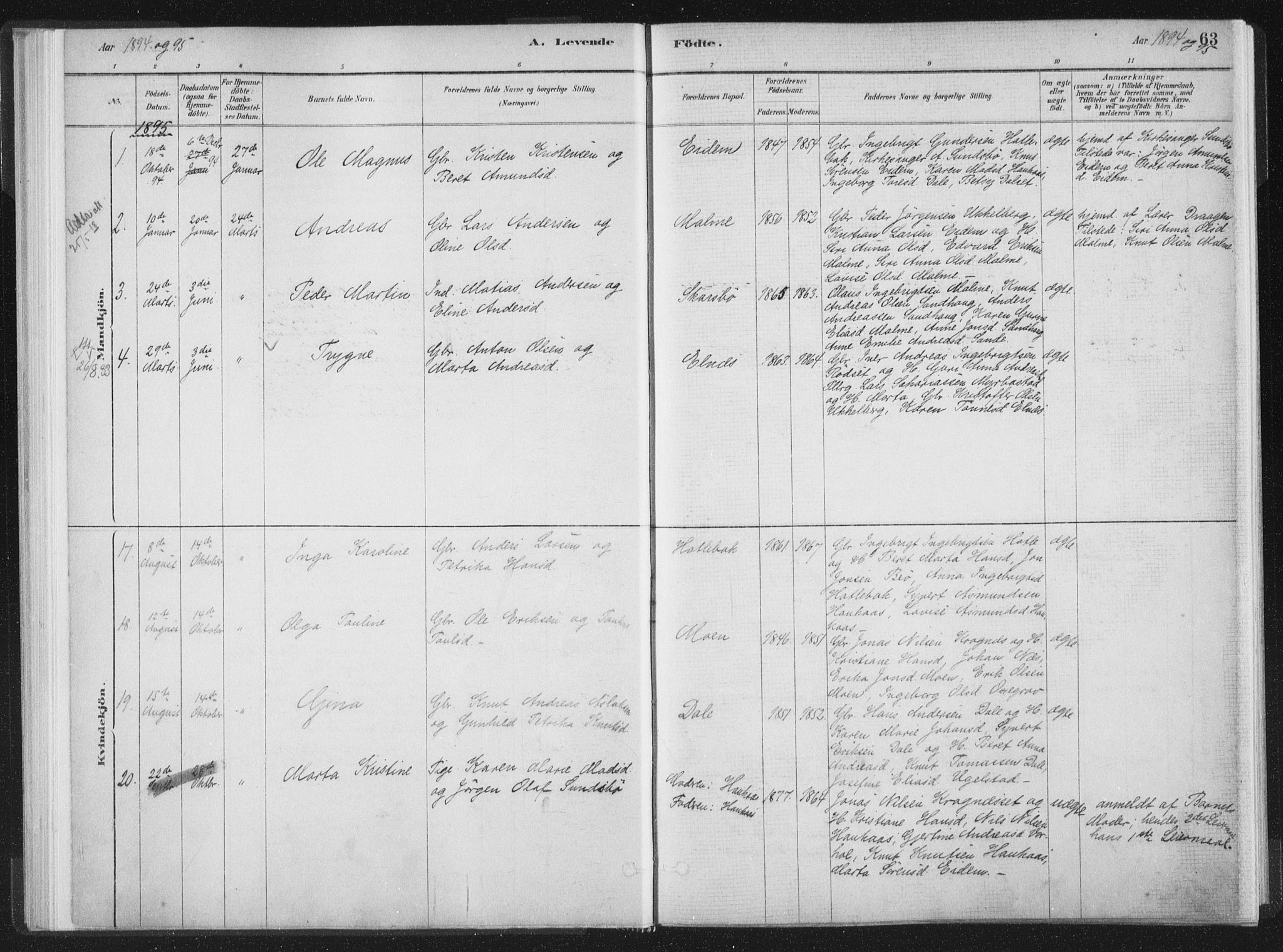 Ministerialprotokoller, klokkerbøker og fødselsregistre - Møre og Romsdal, AV/SAT-A-1454/564/L0740: Parish register (official) no. 564A01, 1880-1899, p. 63