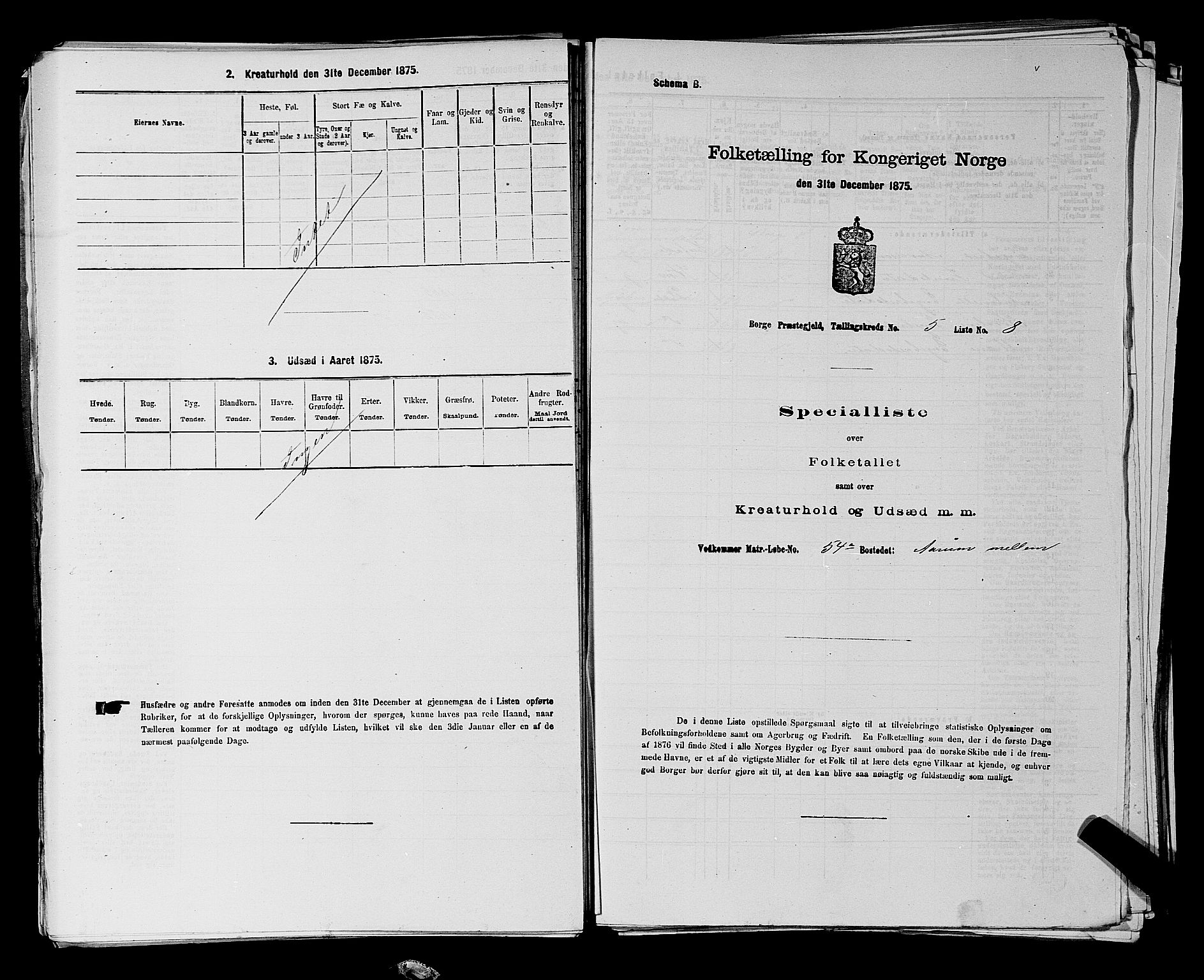 RA, 1875 census for 0113P Borge, 1875, p. 819