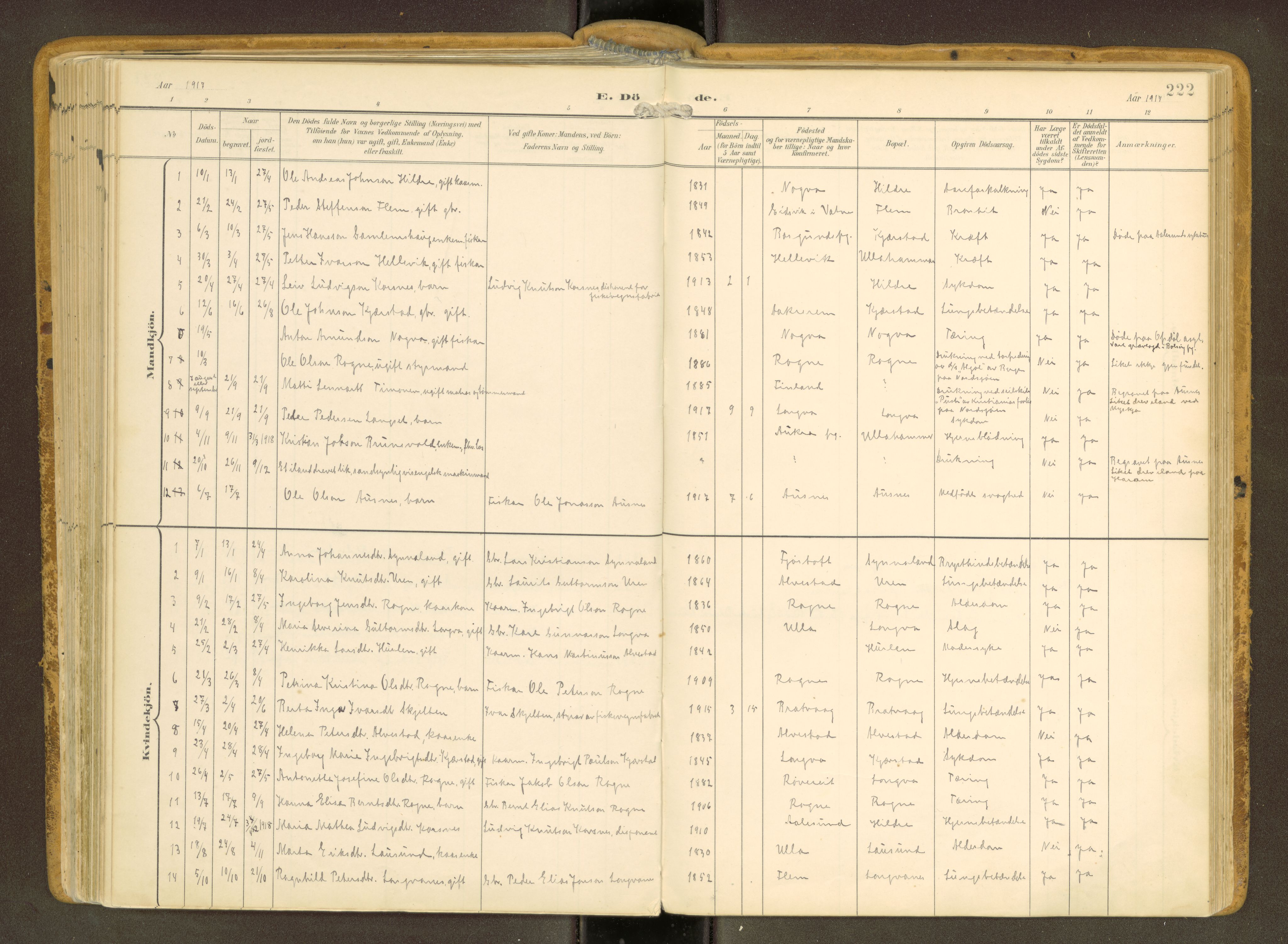 Ministerialprotokoller, klokkerbøker og fødselsregistre - Møre og Romsdal, SAT/A-1454/536/L0517: Parish register (official) no. 536A--, 1897-1917, p. 222