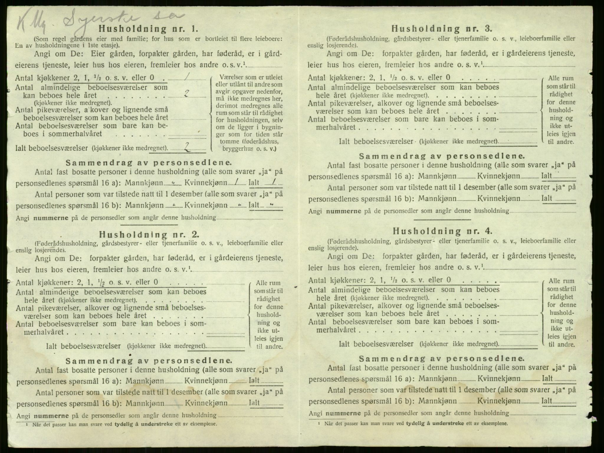 SAKO, 1920 census for Nøtterøy, 1920, p. 253